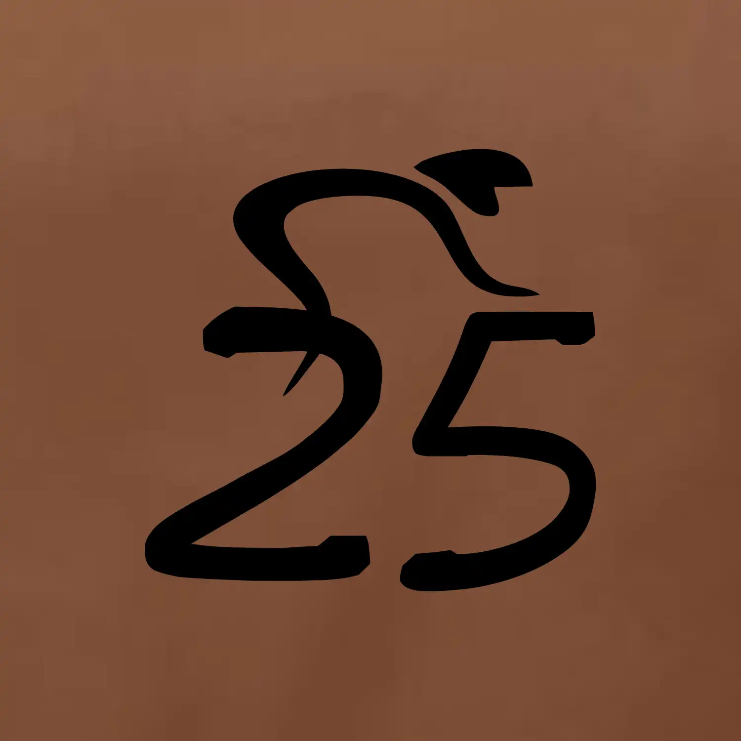 Cyklista slaví pětadvacítku (25)