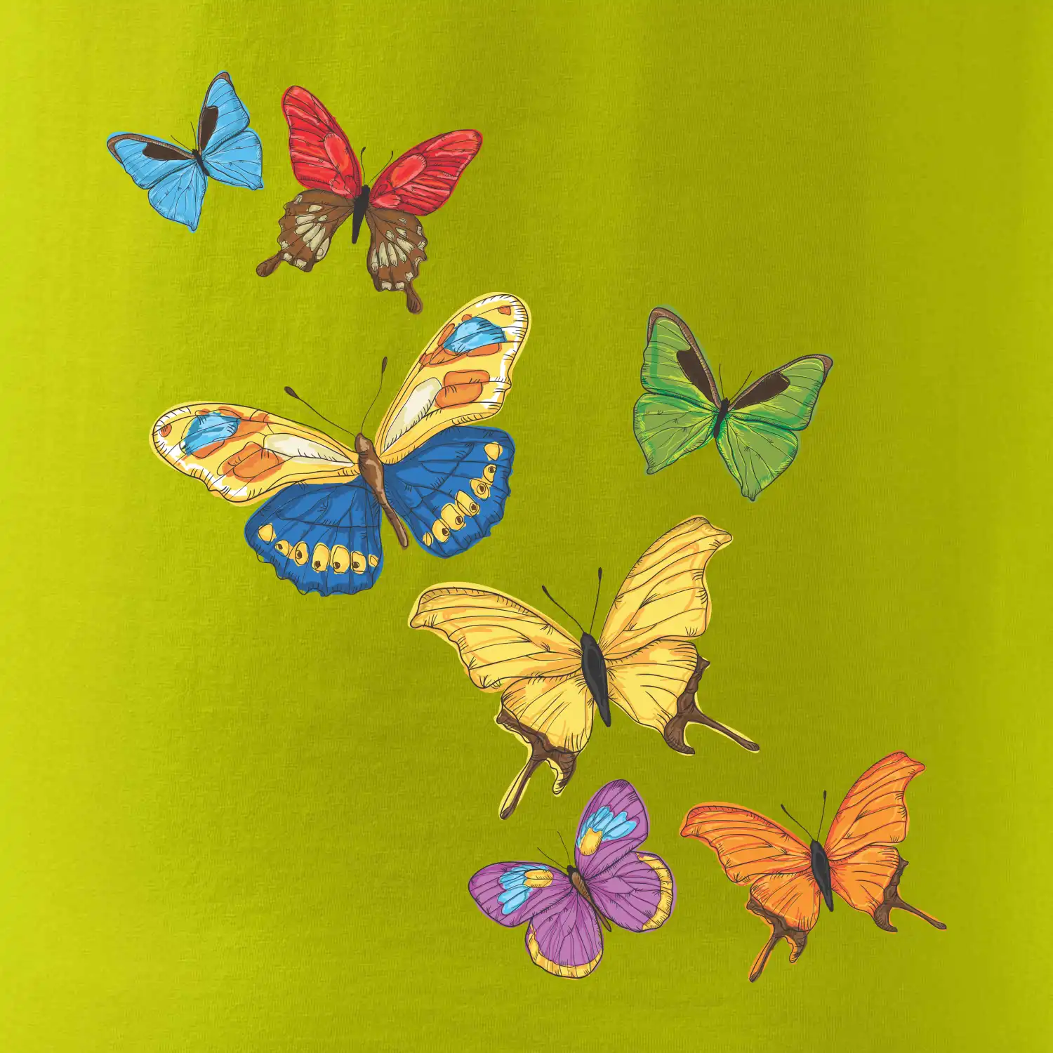 Barevní motýli