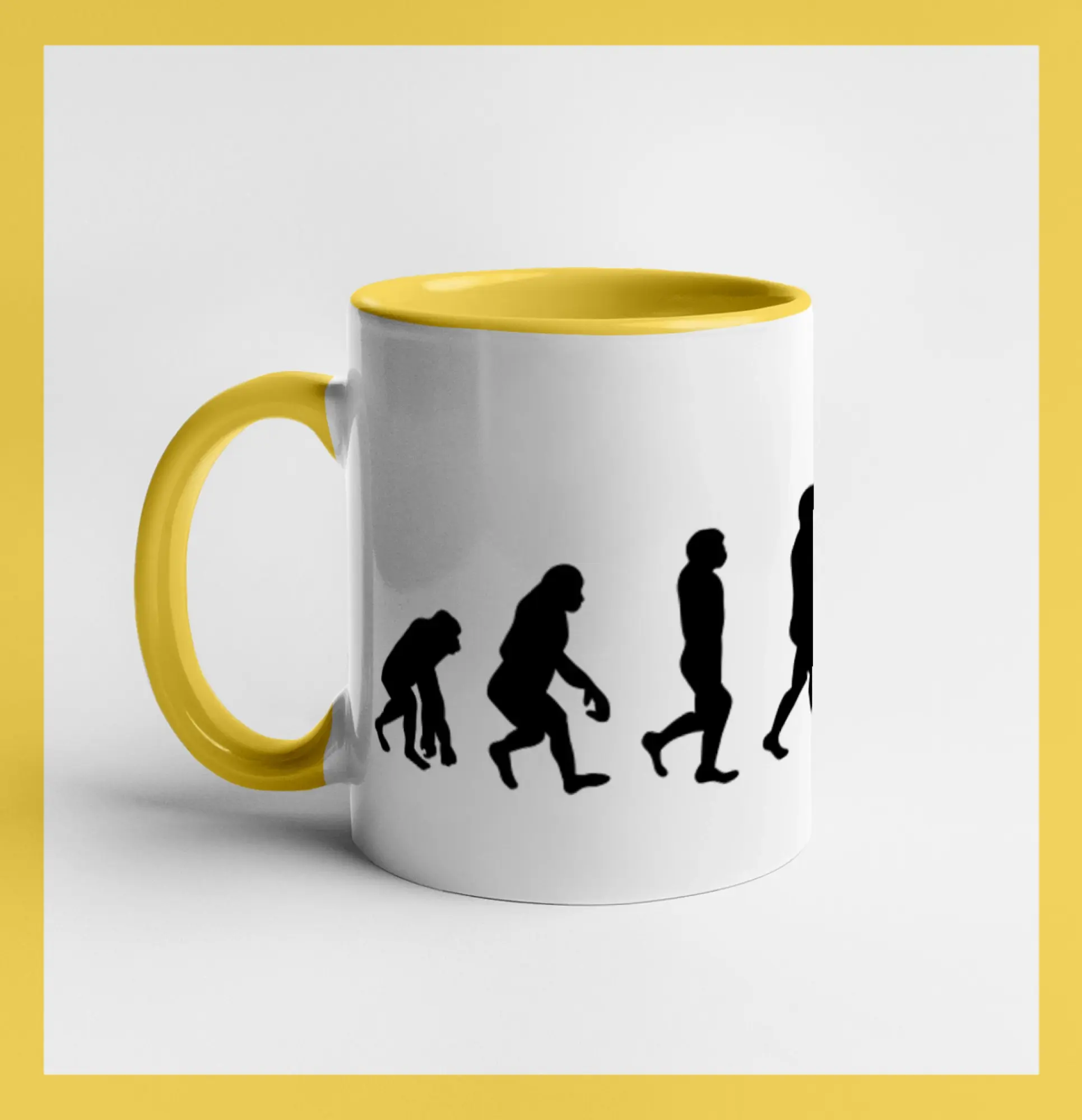 Evoluce Plachtenie