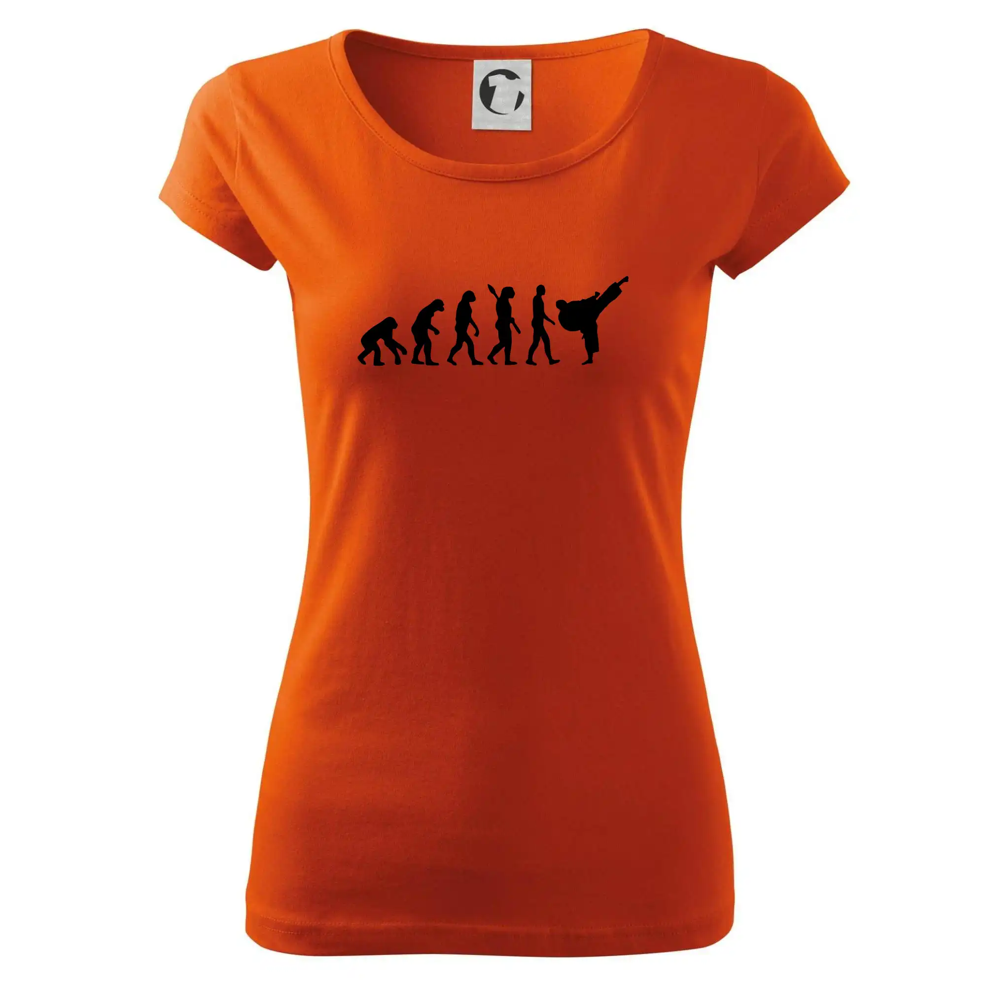 Karate Evoluce - kop