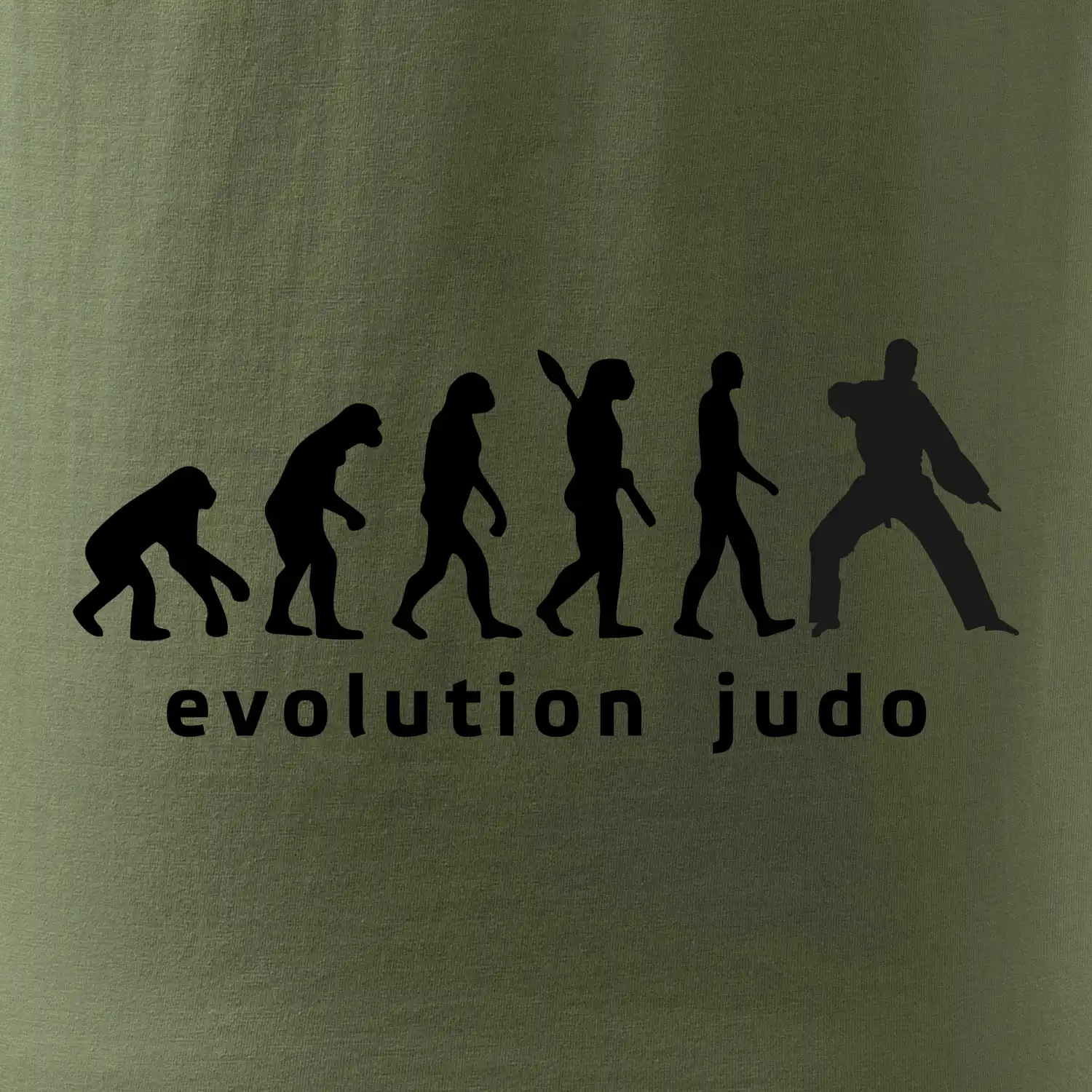 Judo evoluce - úder