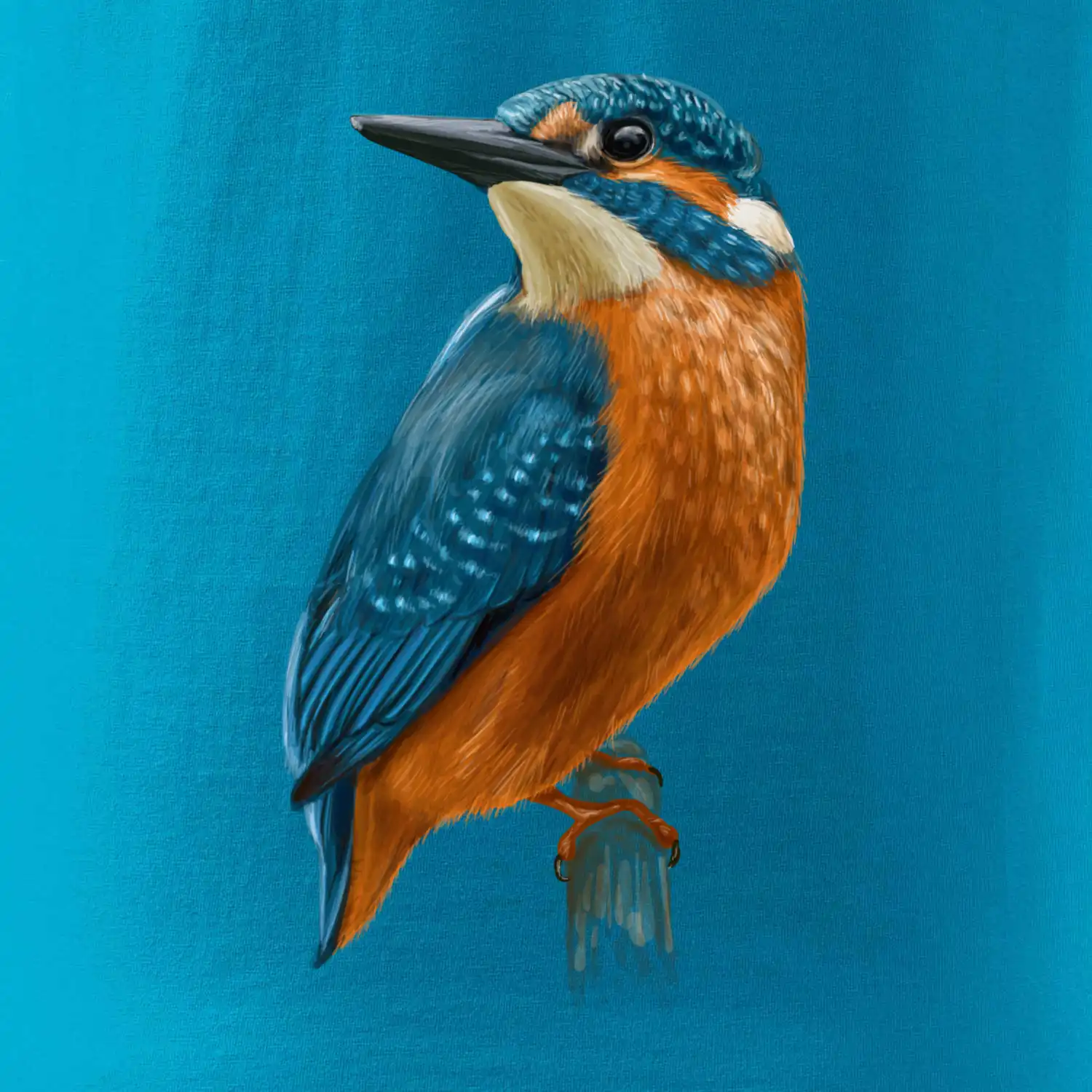 Lednáček kreslený