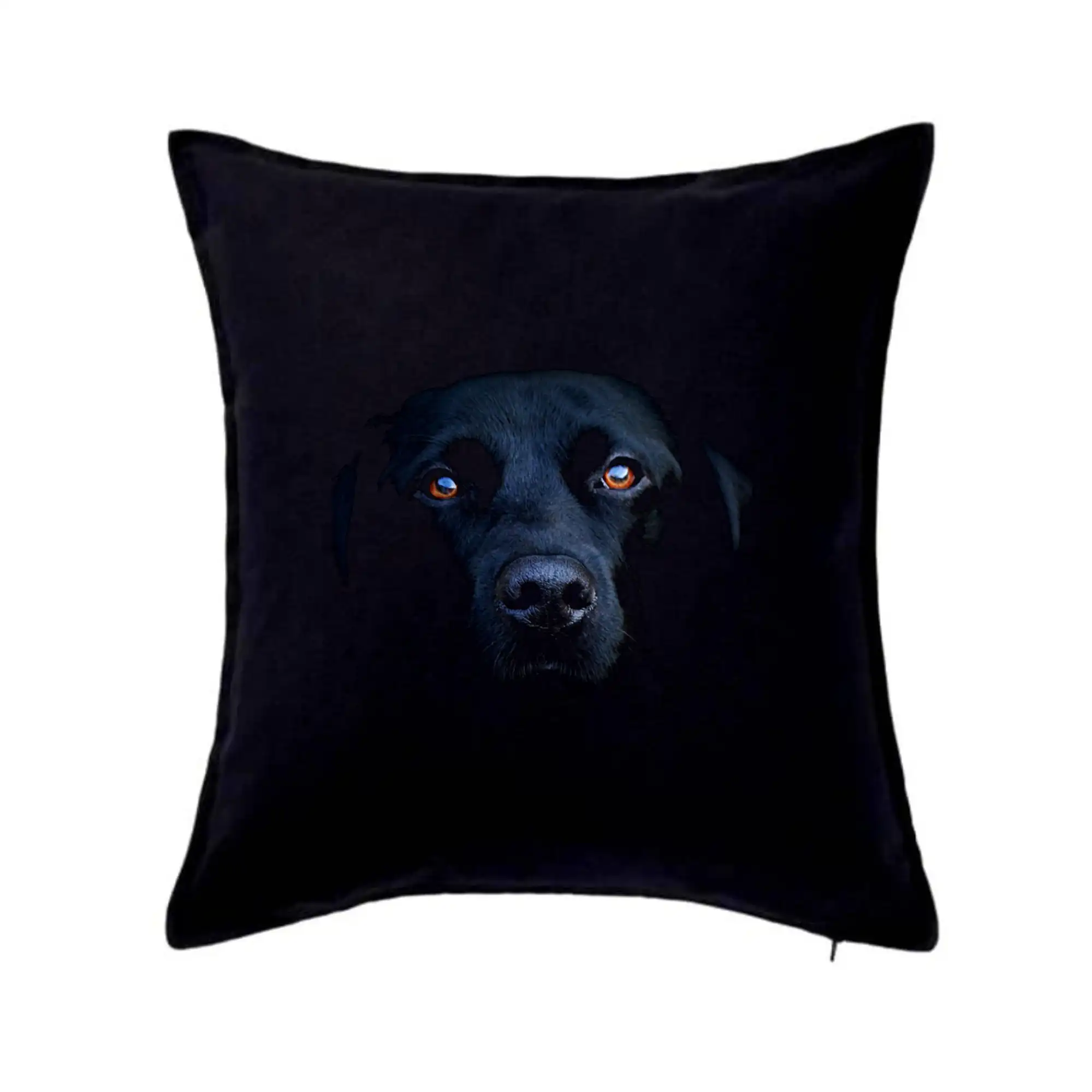 Labrador - Čierny Labrador fotka - Vankúš 50x50