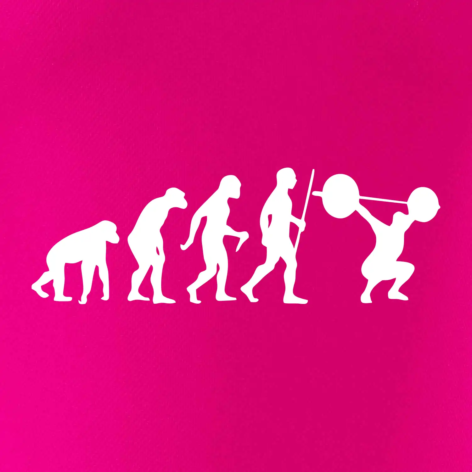 Evolution fitness
