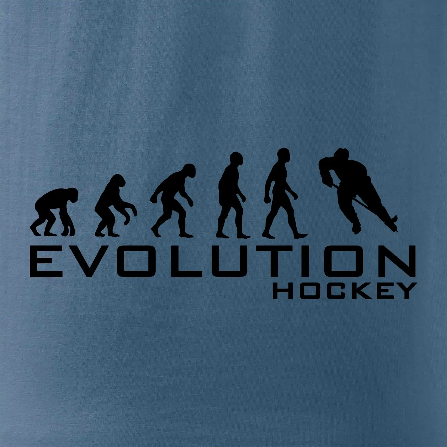 Evoluce Hockey - hráč