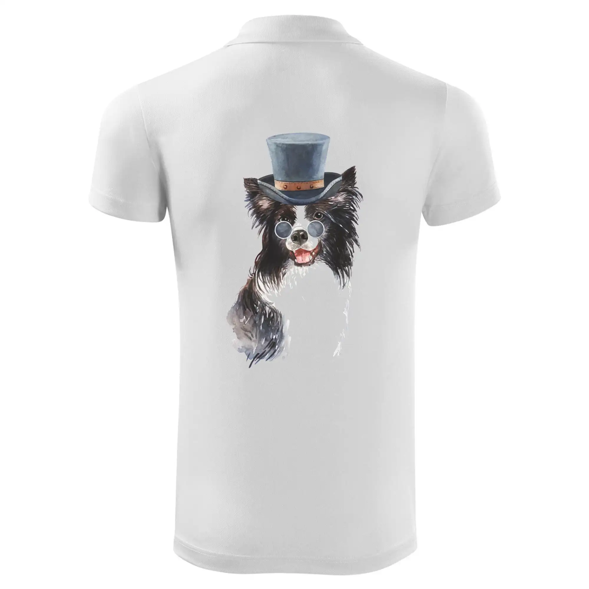 Border kolie v klobouku