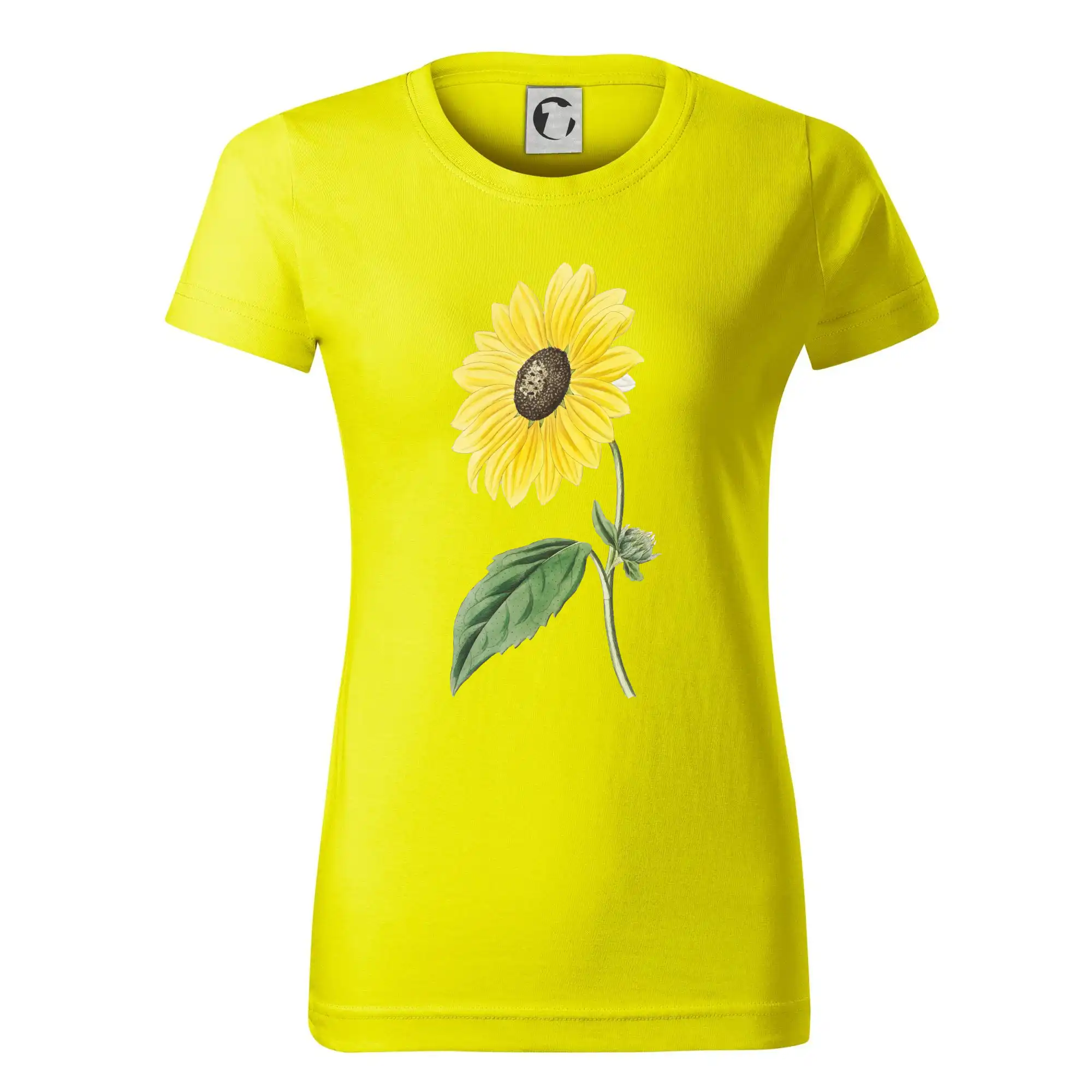 Slunečnice otočená