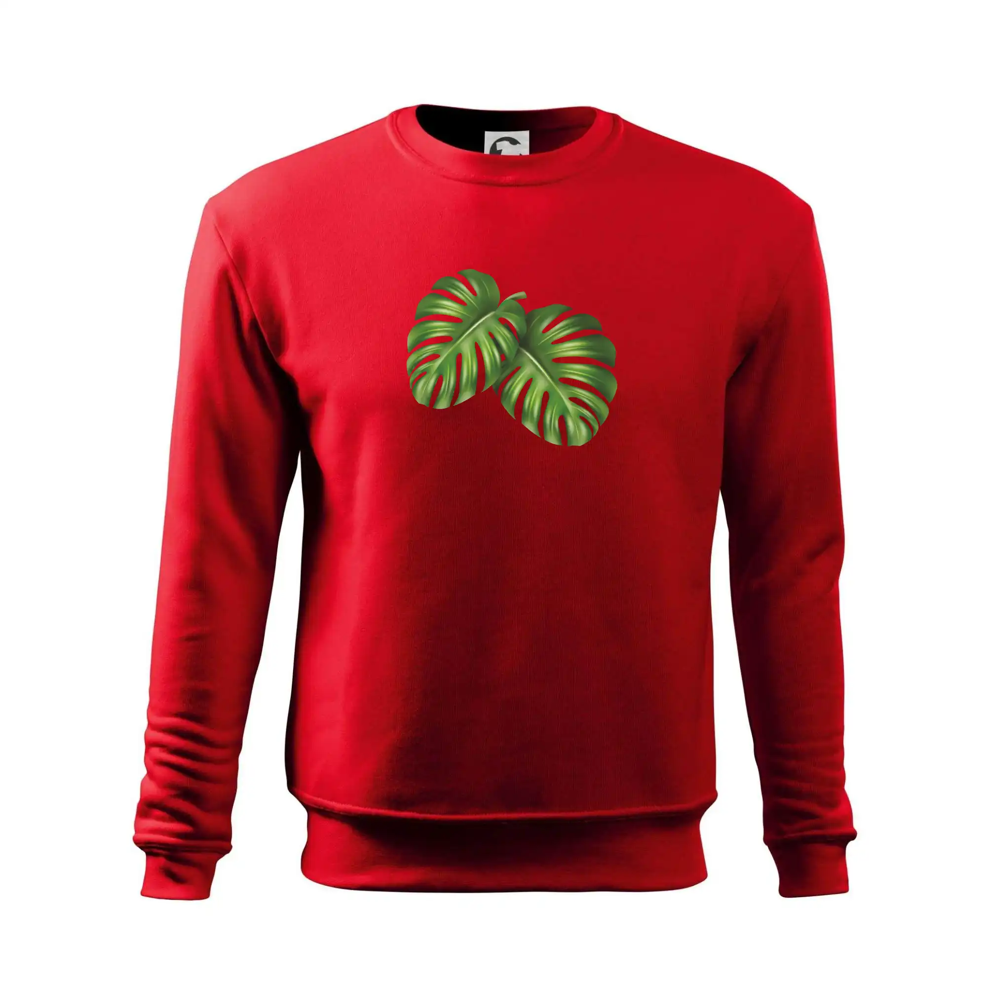 Monstera - dva listy