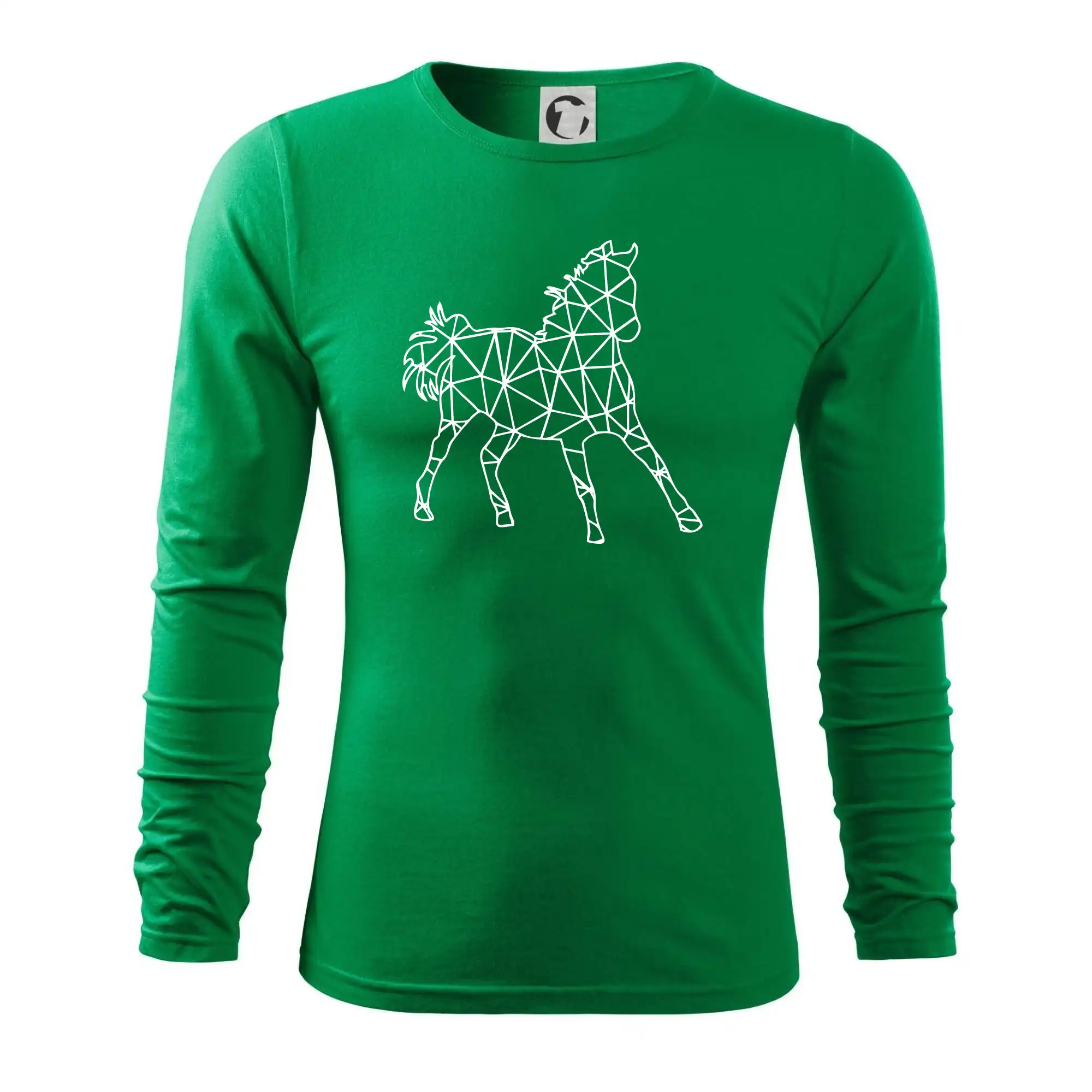 Geometrie - kůň jednobarevná