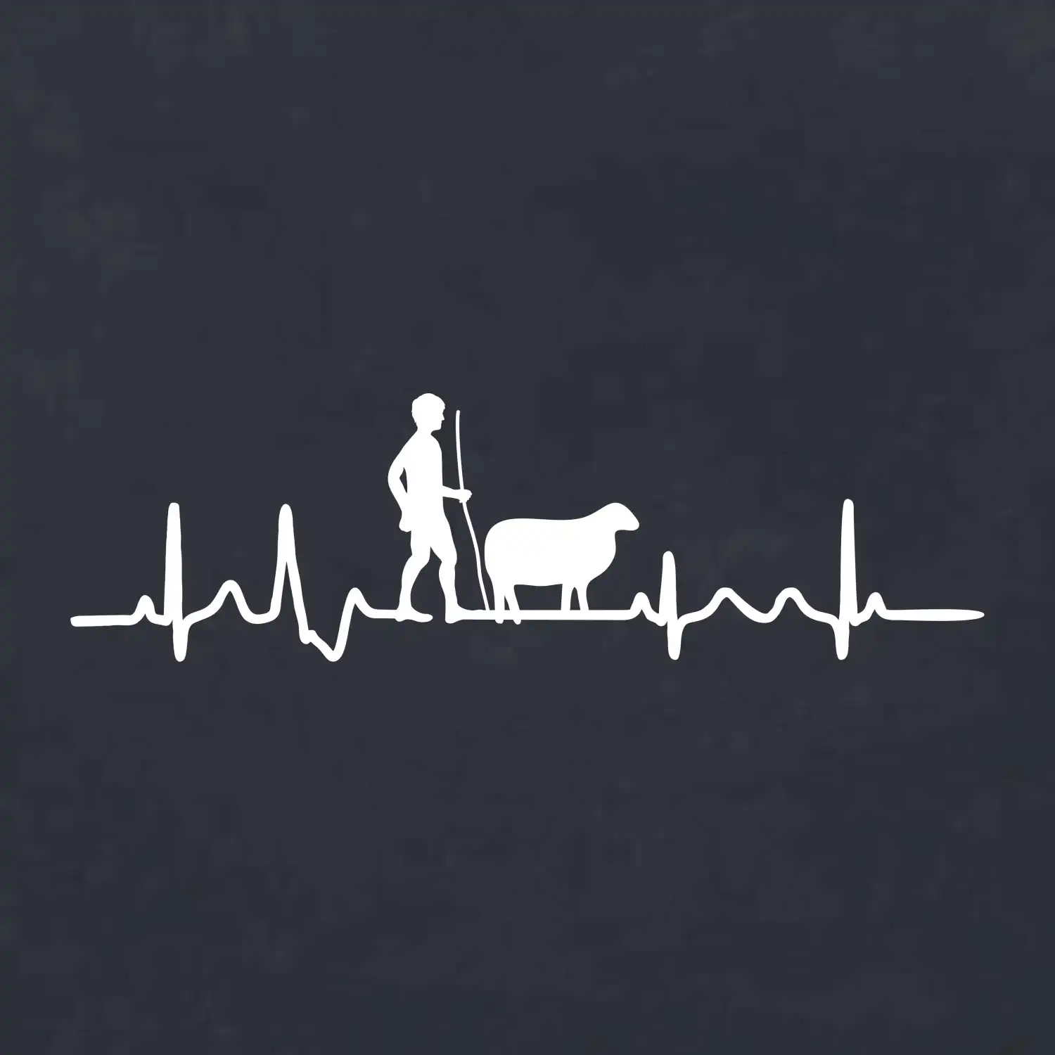 Ekg pastevec ovcí