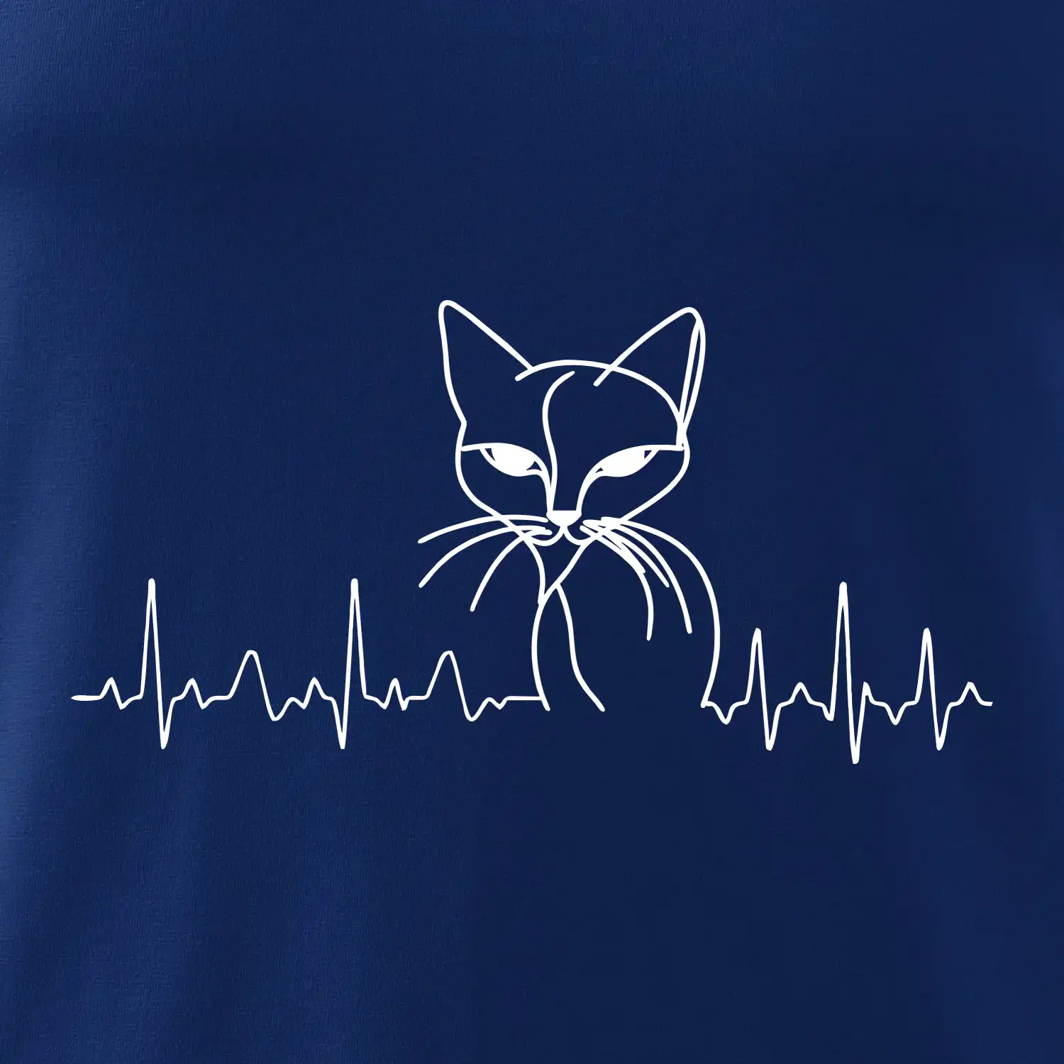 EKG křivka kočka