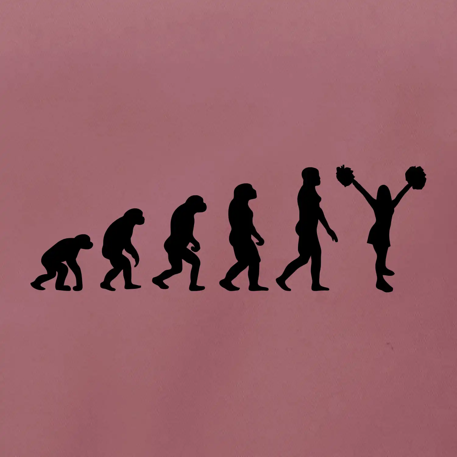 Evolution cheerleading - roztleskávačka