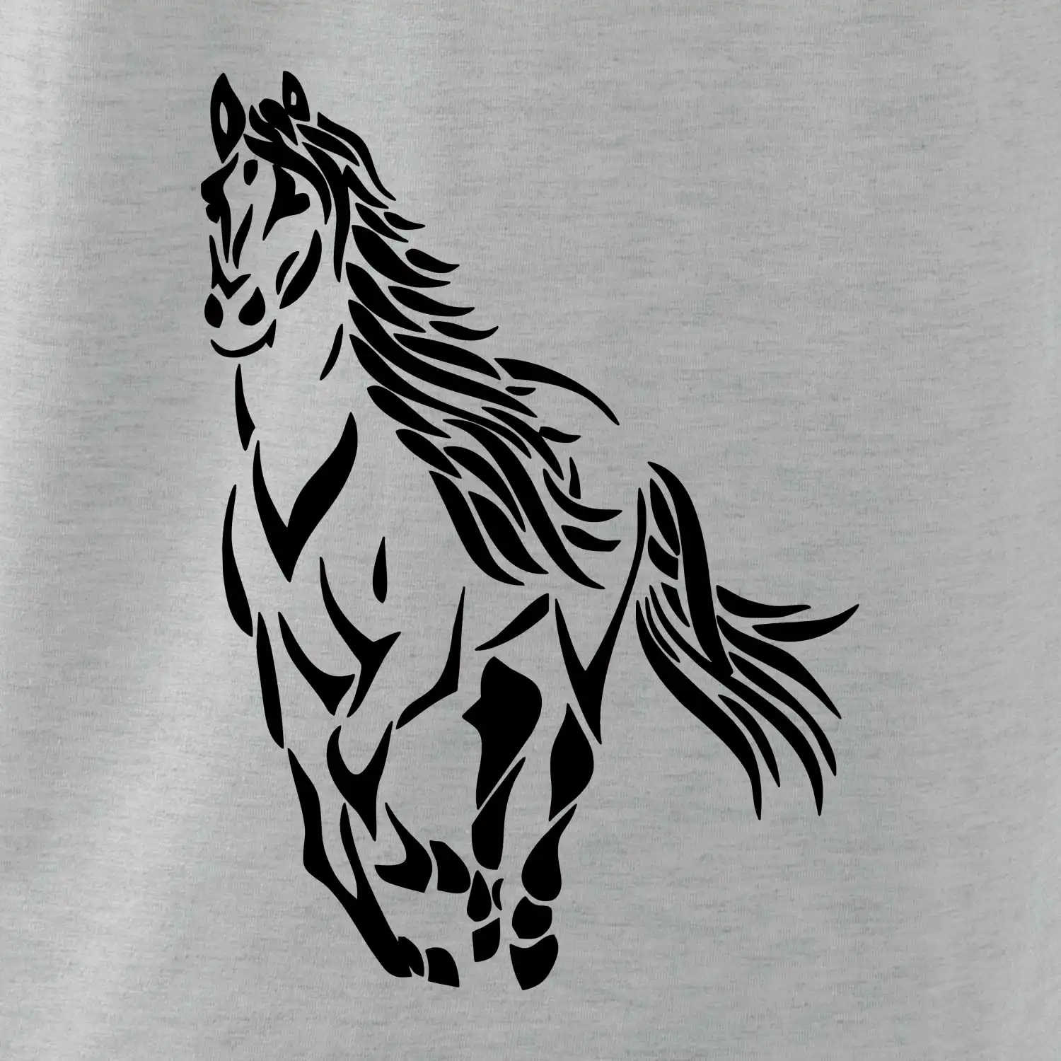Kůň běžící