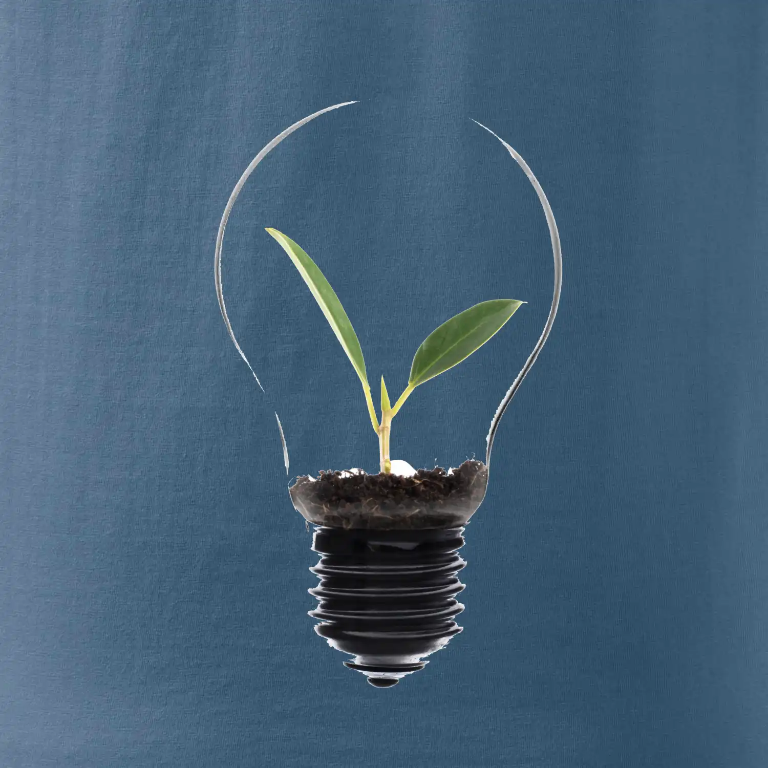 Žárovka květináč