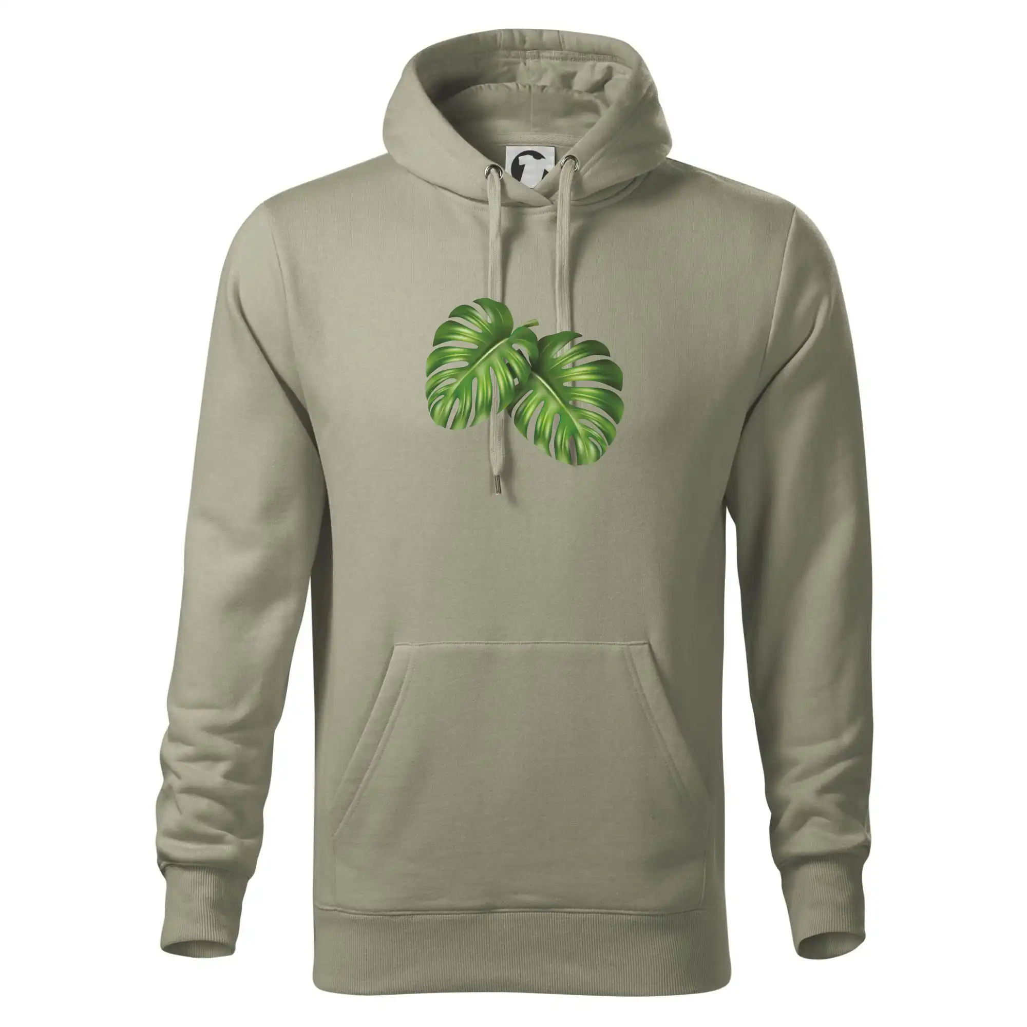 Monstera - dva listy