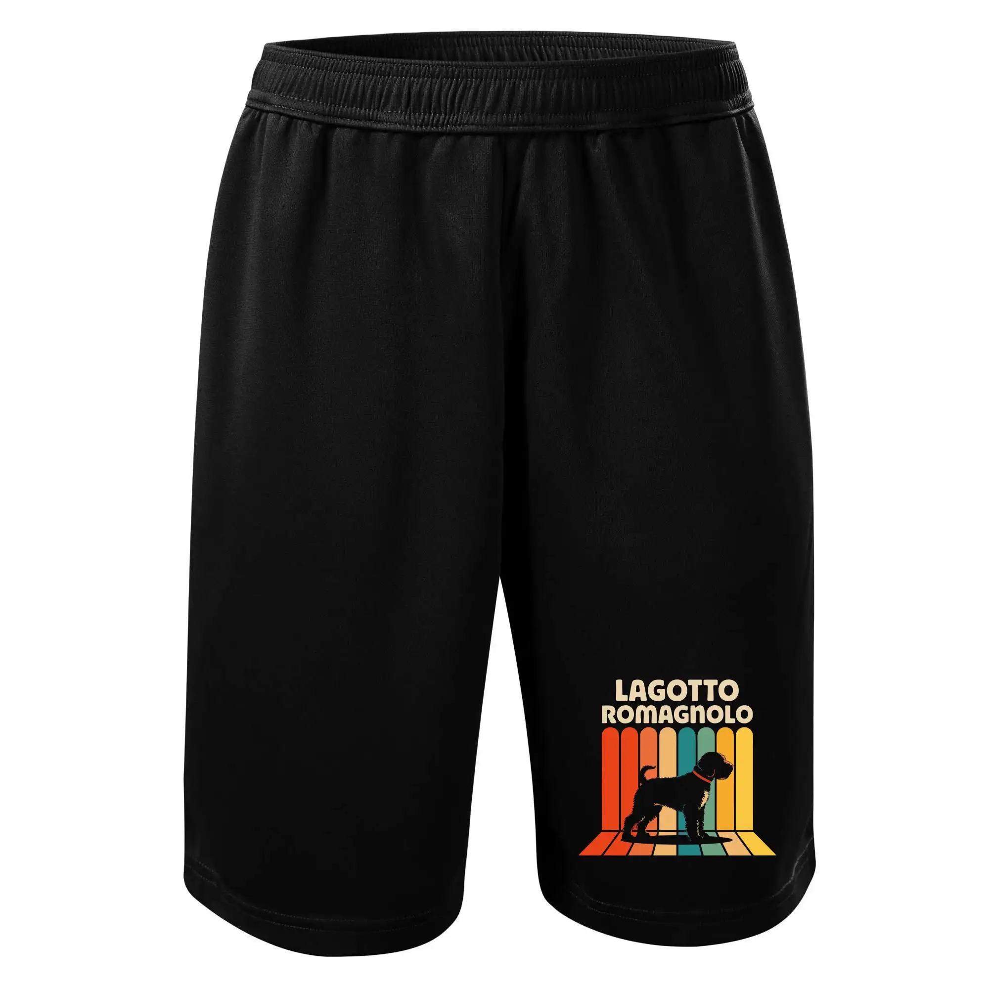 Lagotto romagnolo vintage