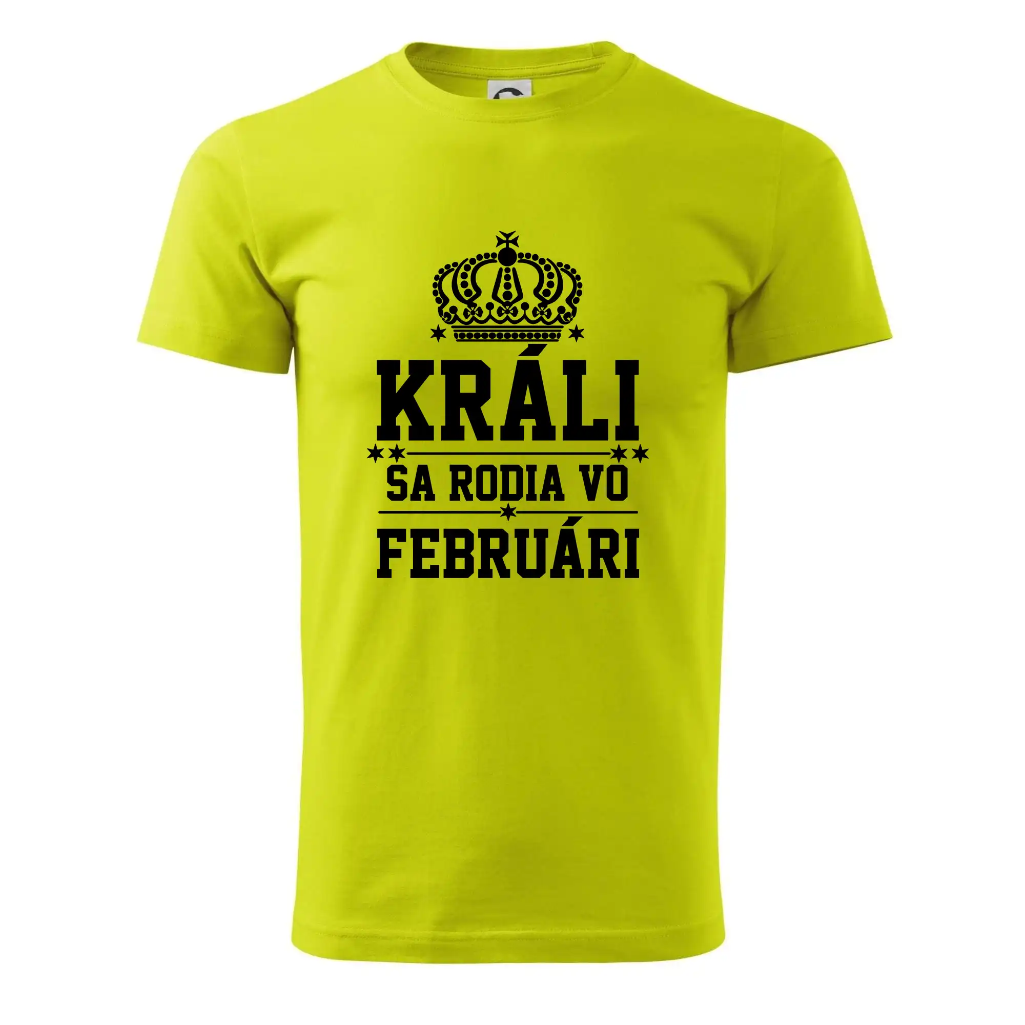 Tričká pre narodené vo februári - Králi sa rodia vo februári - Pánske tričko nižšej gramáže