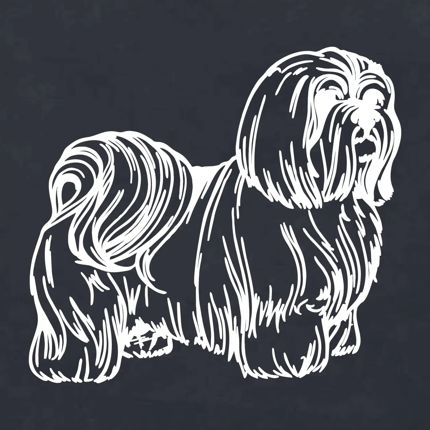 Shih-tzu - chlupatý