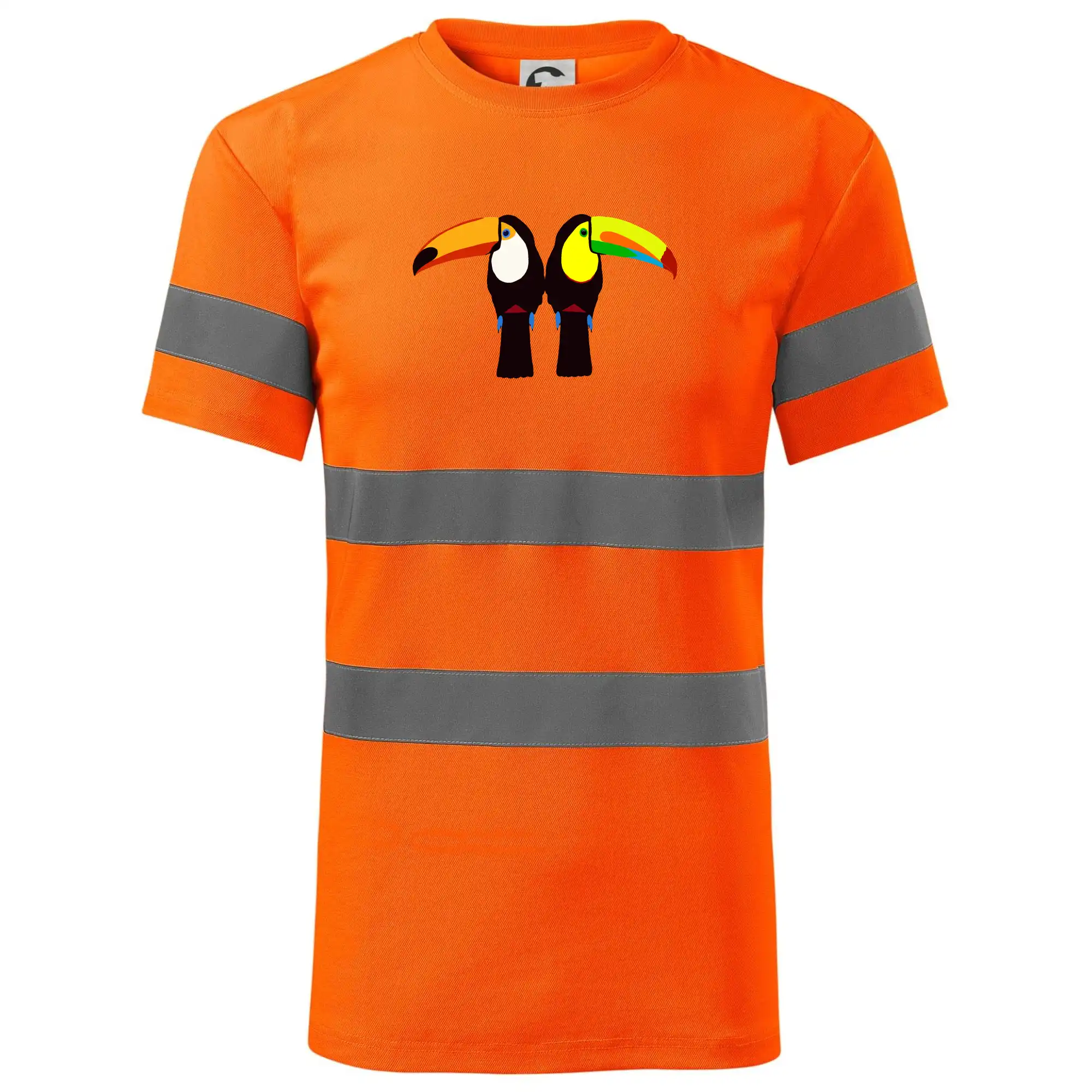 Dva barevní tukani (Moňas)