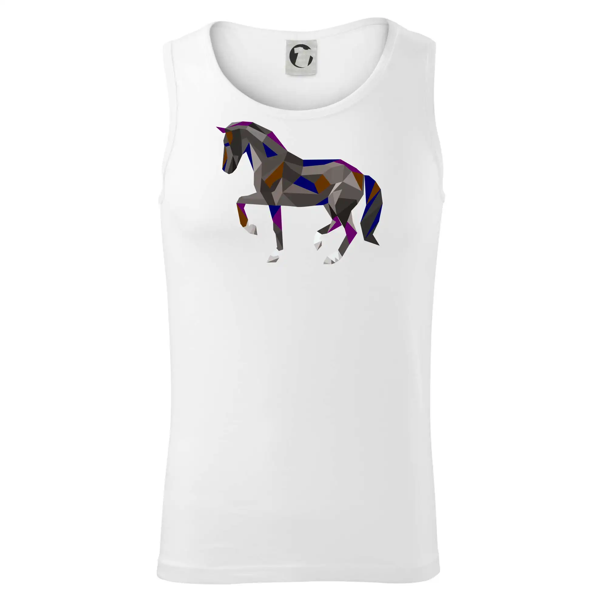 Kůň geometrie barevný