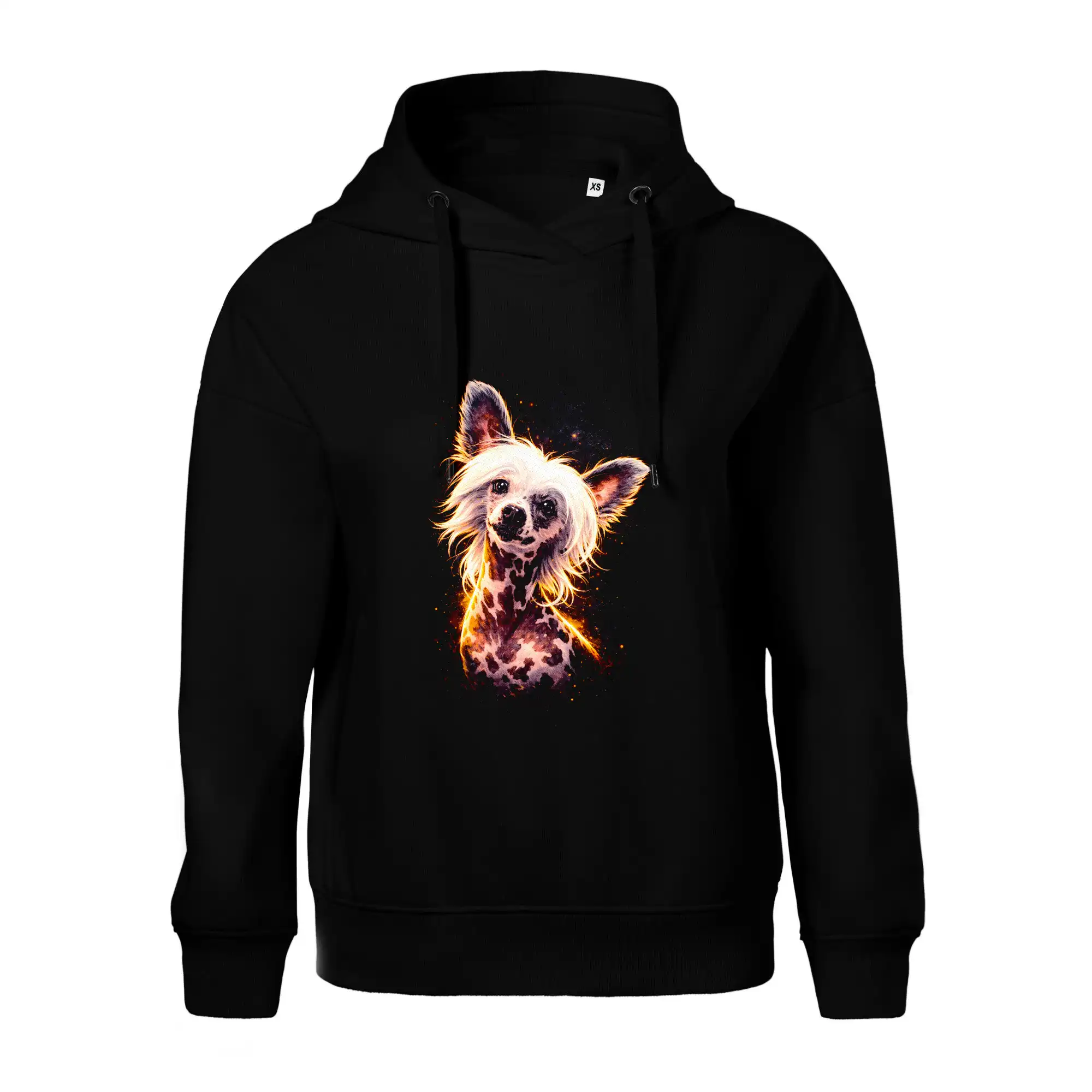 Obrázek polotón čínský chocholatý pes