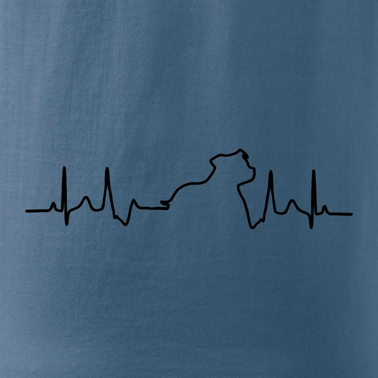 Stafordšírsky bulteriér EKG