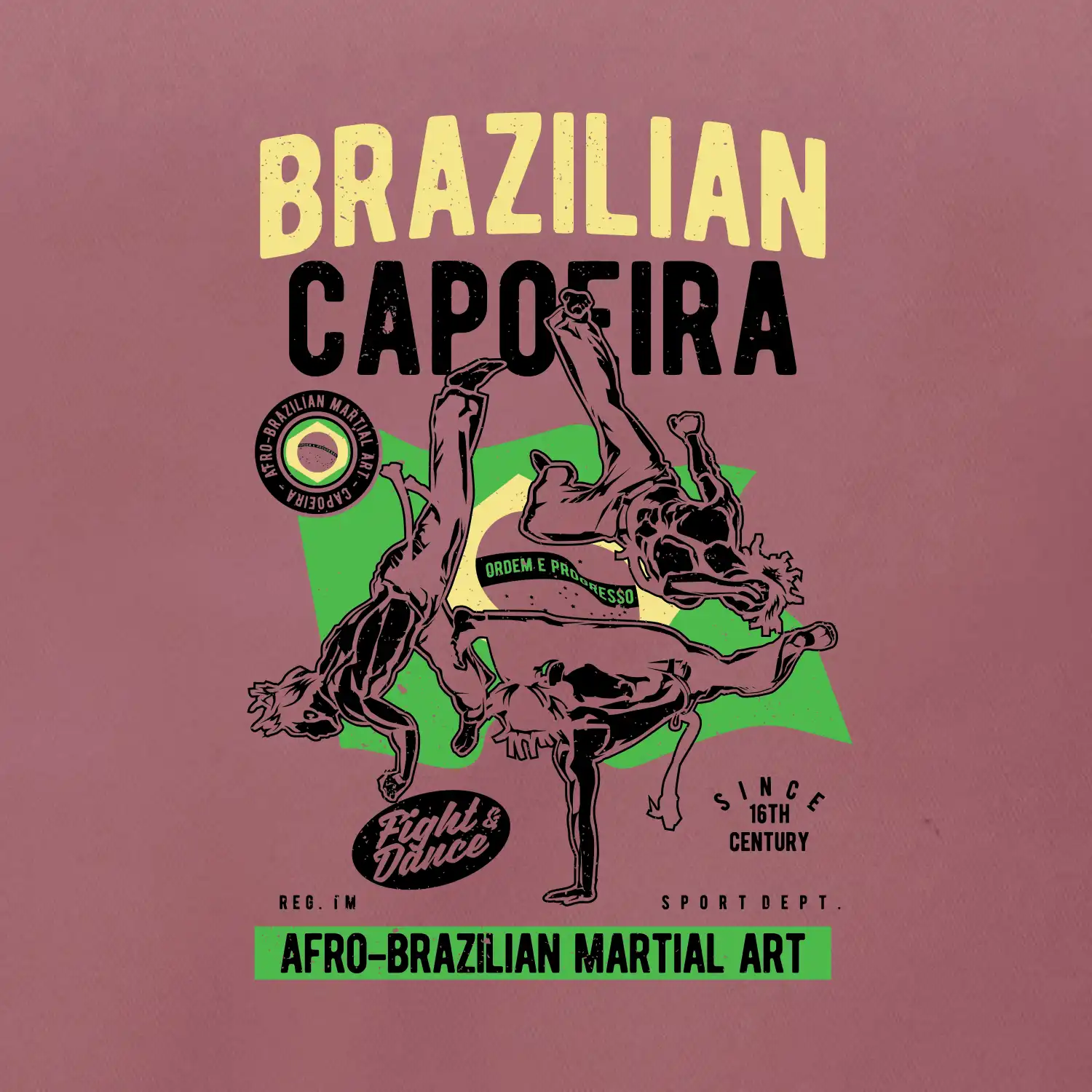 Brazilian Capoeira