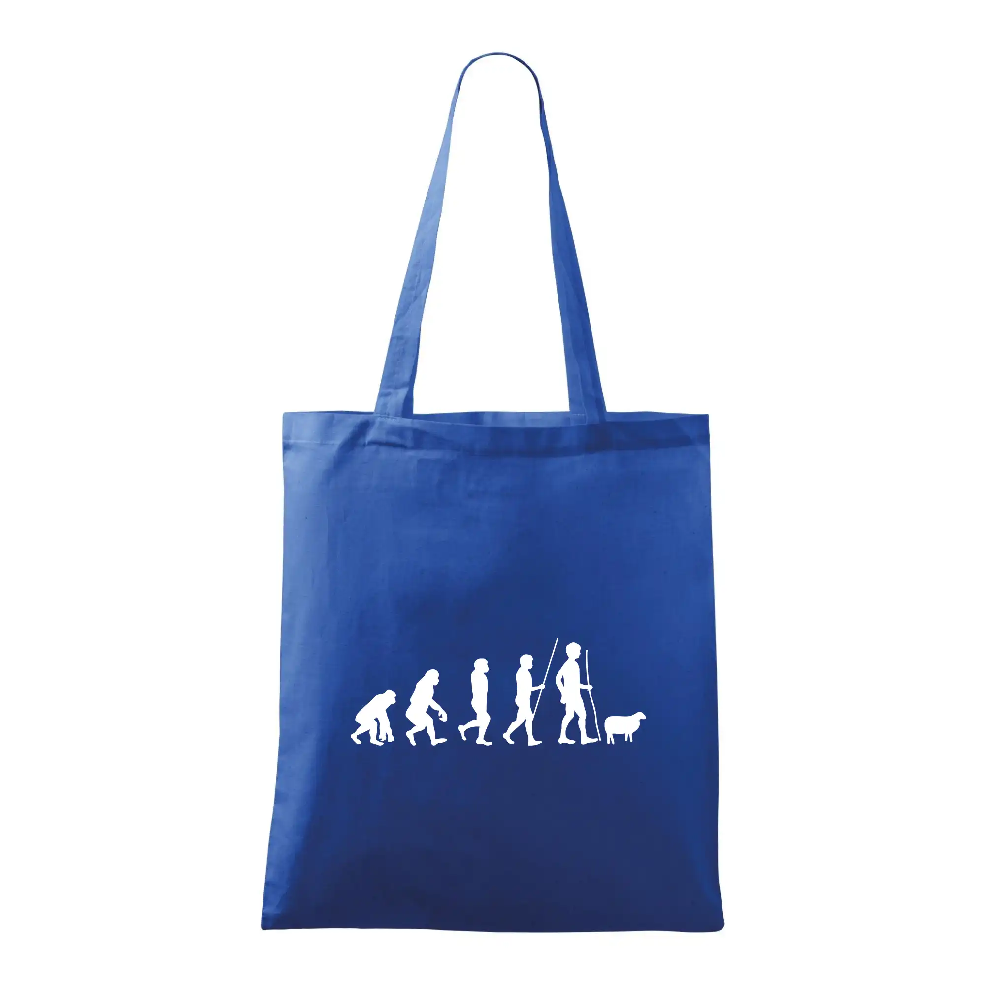 Evoluce pastevec ovcí