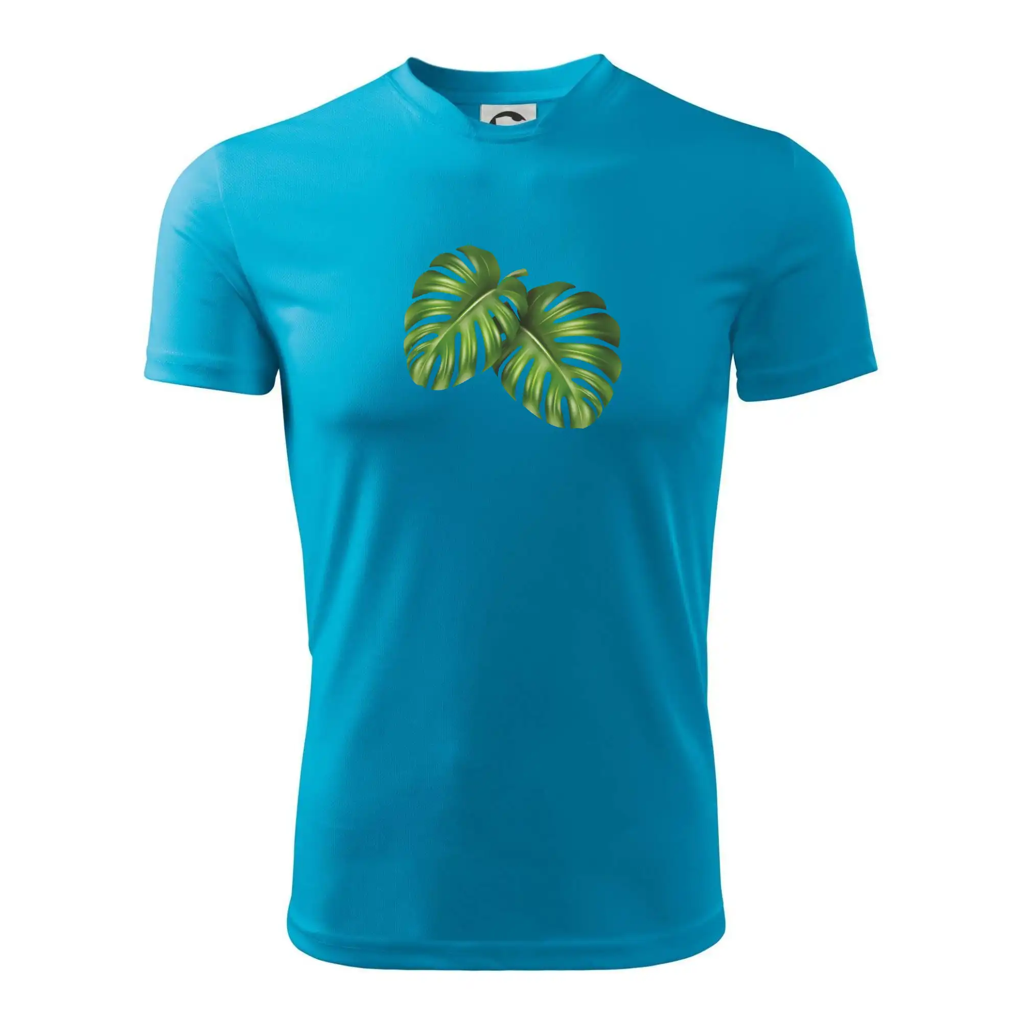 Monstera - dva listy
