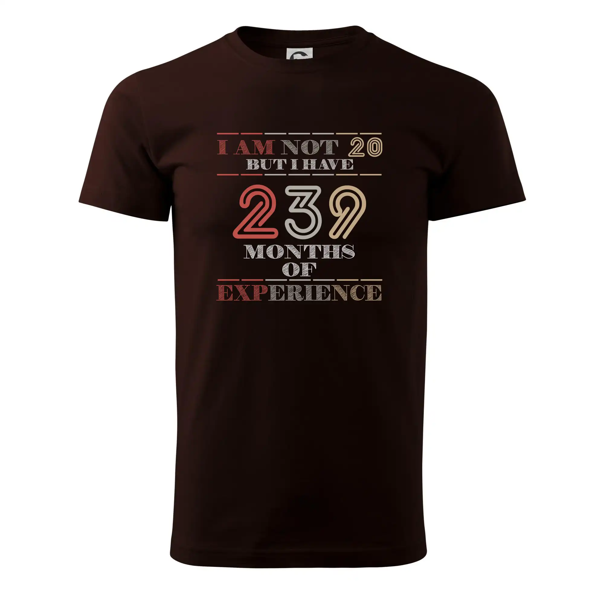 Tričká k narodeninám - 20 years 239 months of experience - Pánske tričko nižšej gramáže