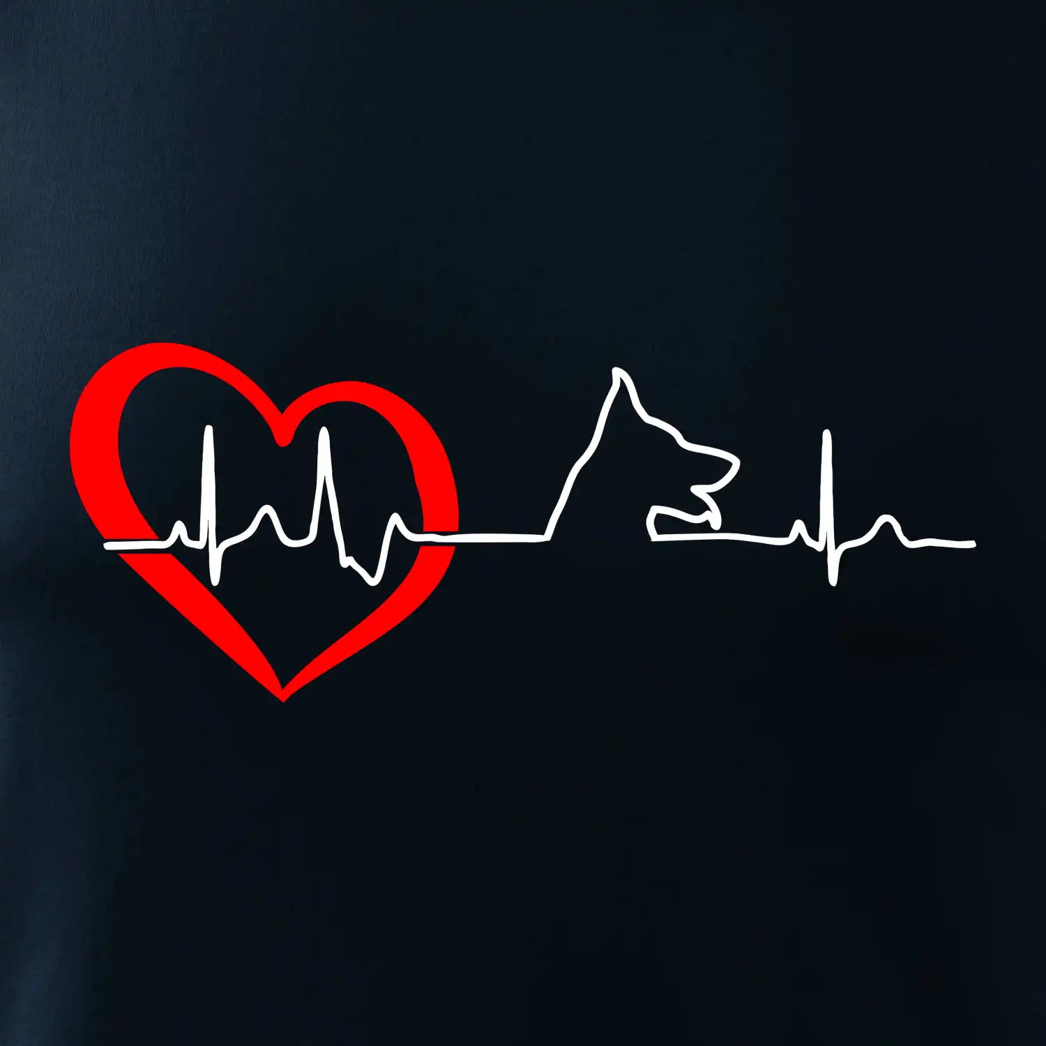 Německý ovčák ekg