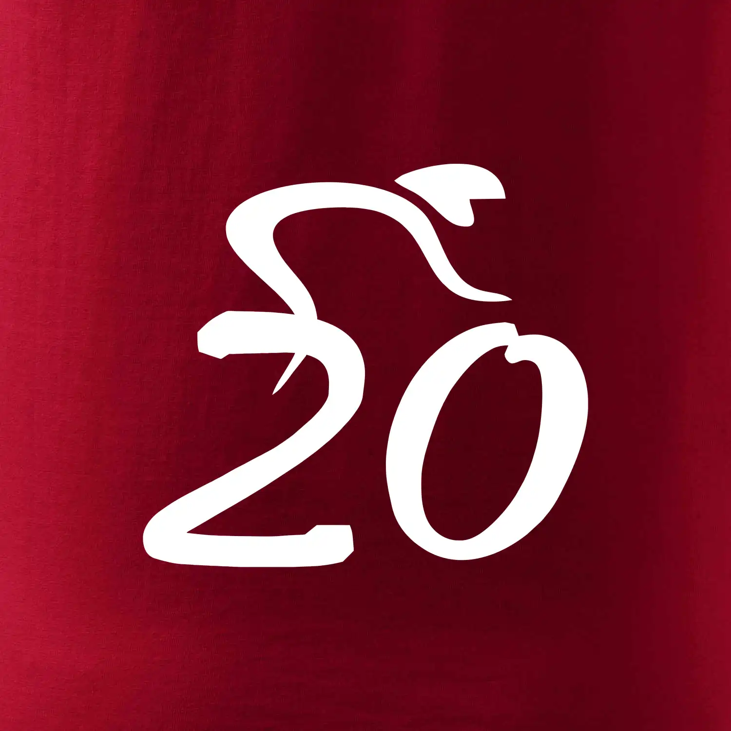 Cyklista slaví dvacítku (20)