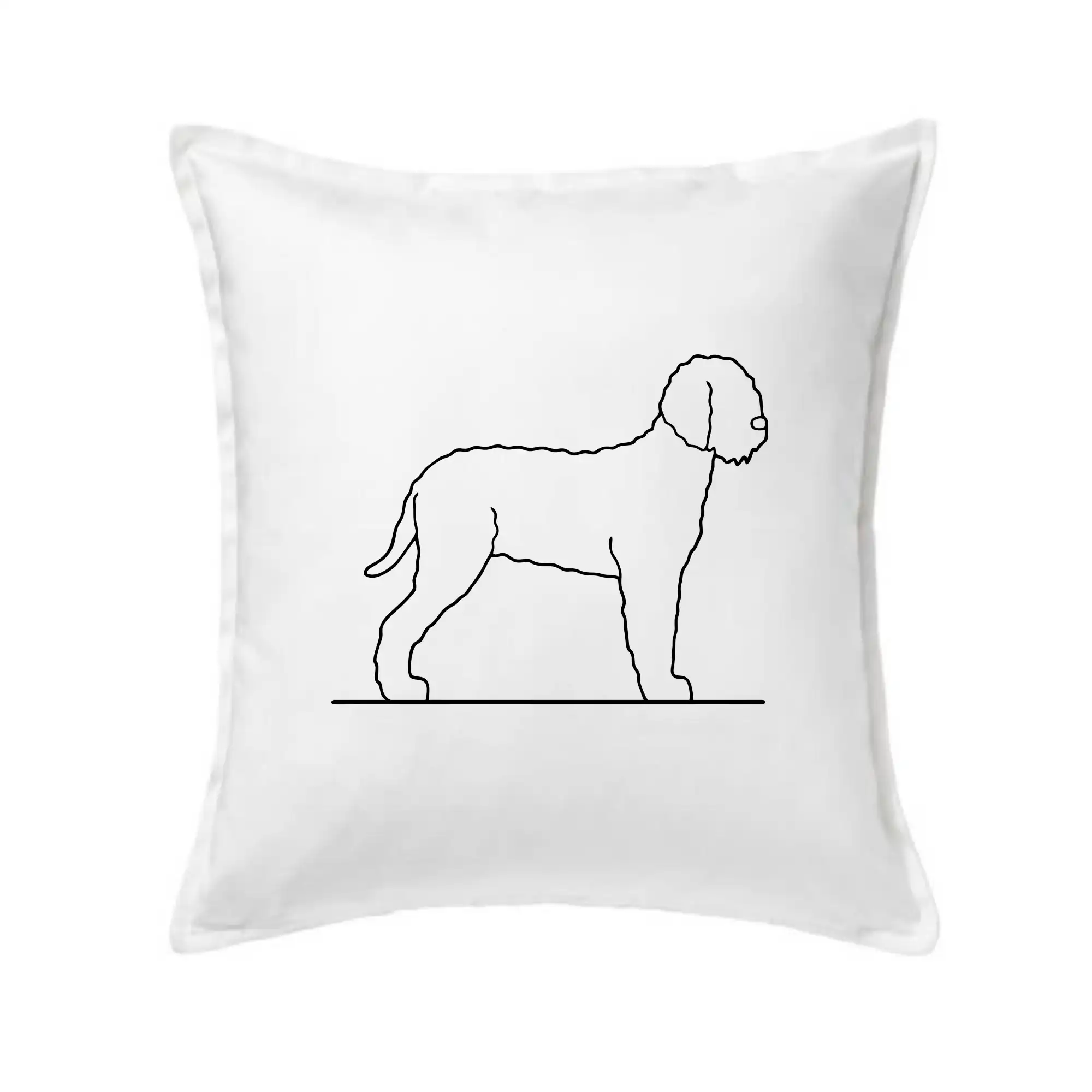 Lagotto romagnolo stojící