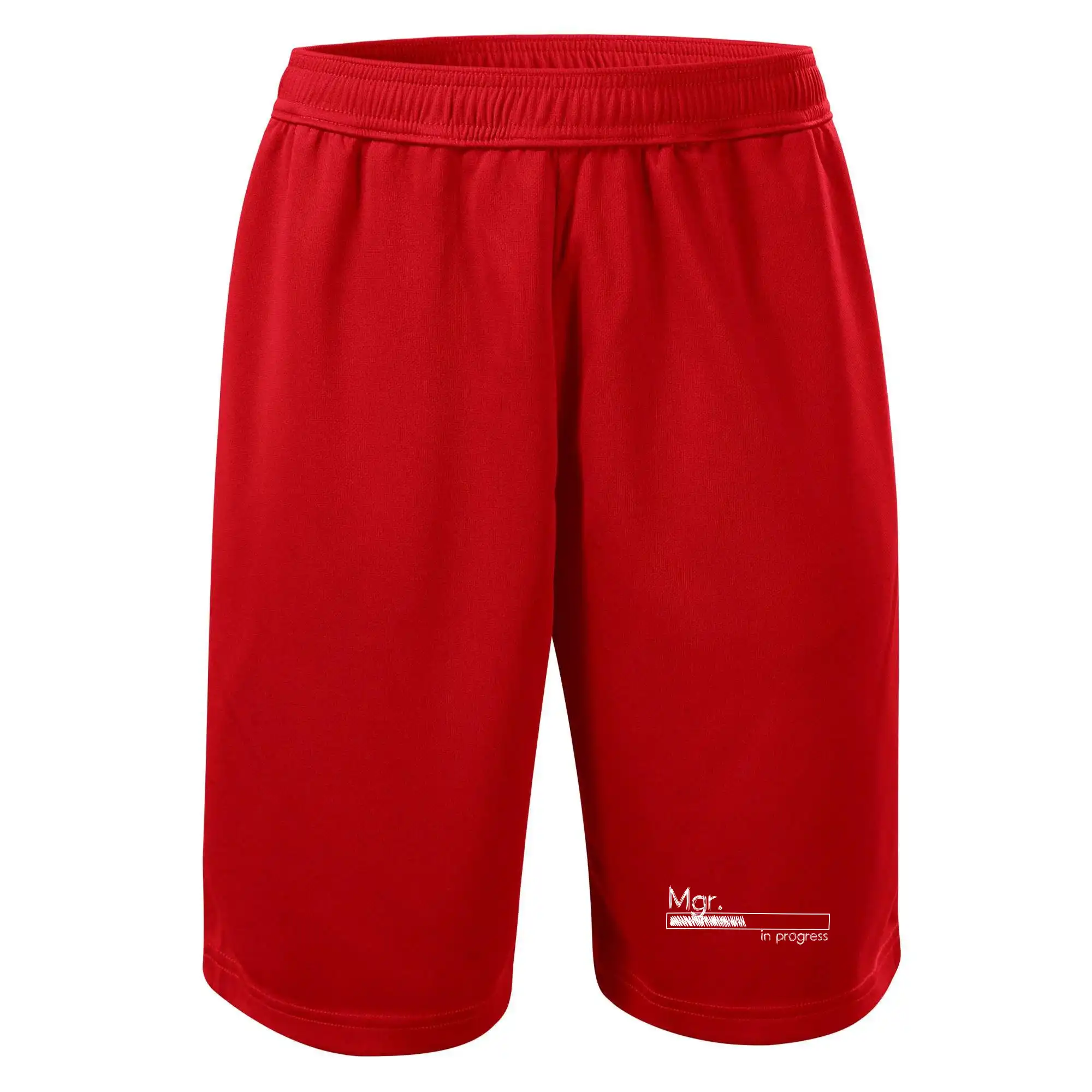 In progress titul Mgr.  magistr / magistra