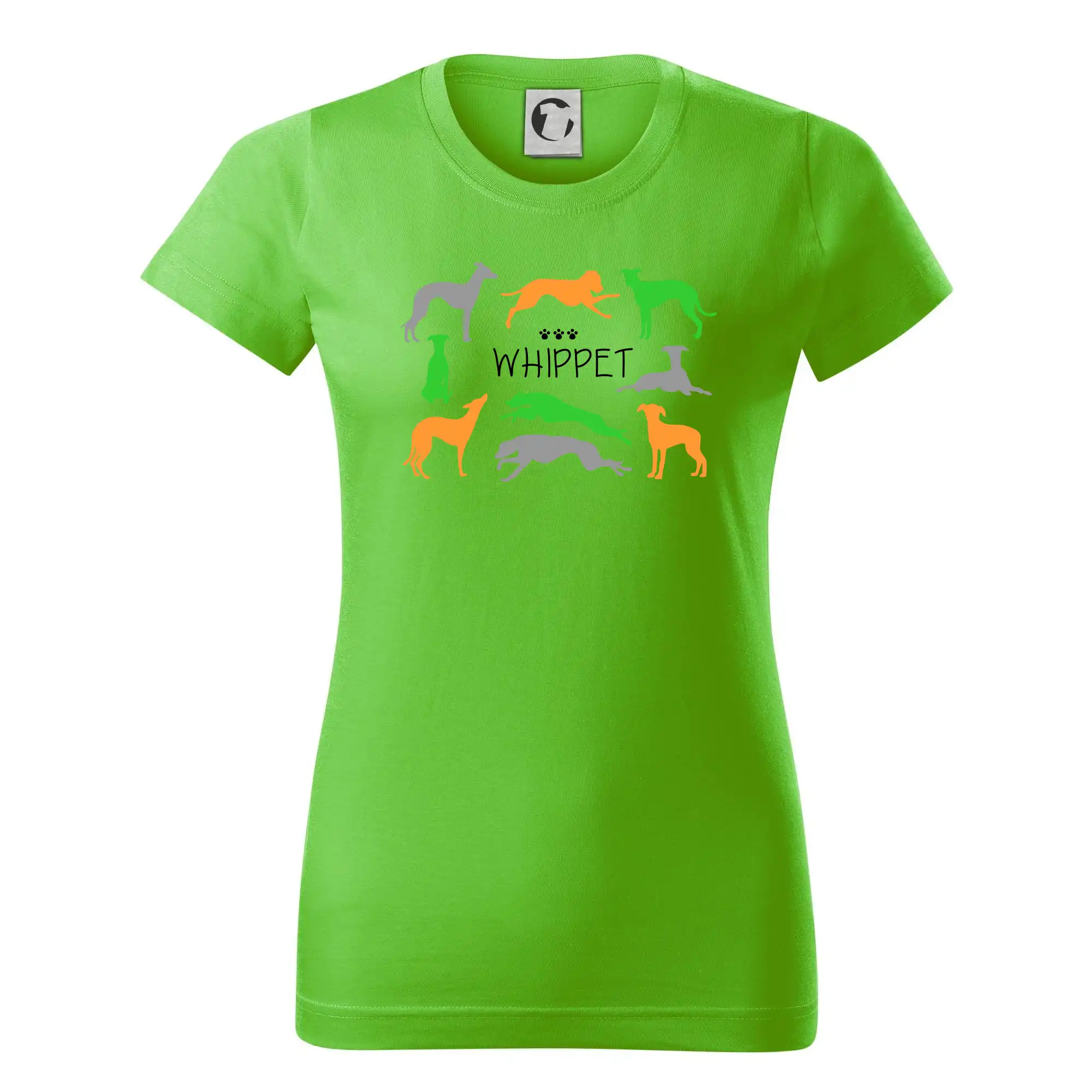 Whippet barevný