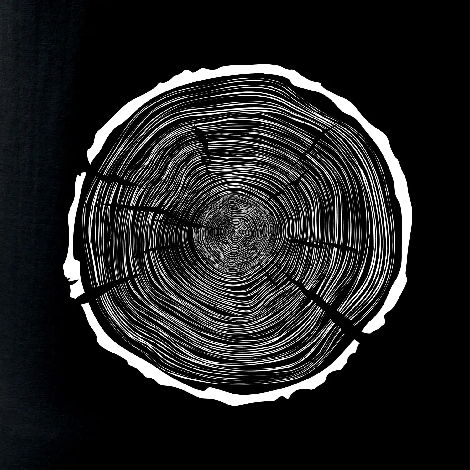 Letokruhy 100 bez věku