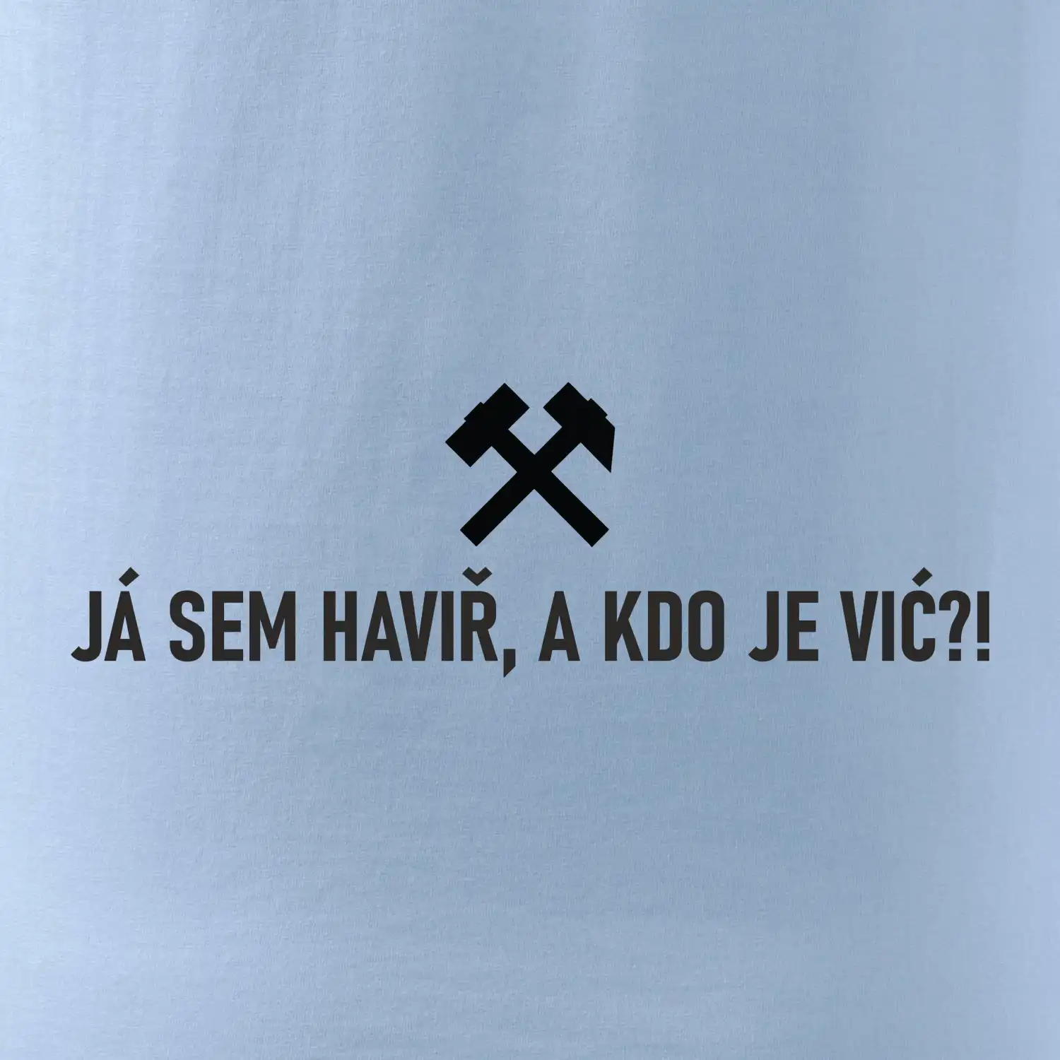 JÁ SEM HAVIŘ, A KDO JE VIĆ?!﻿