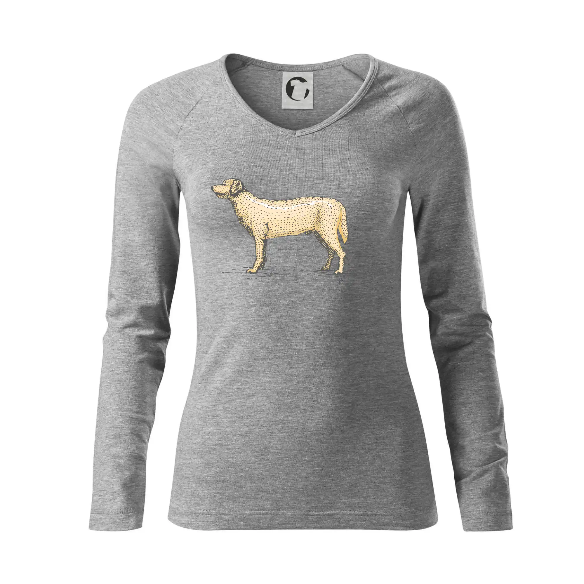 Vintage Labrador