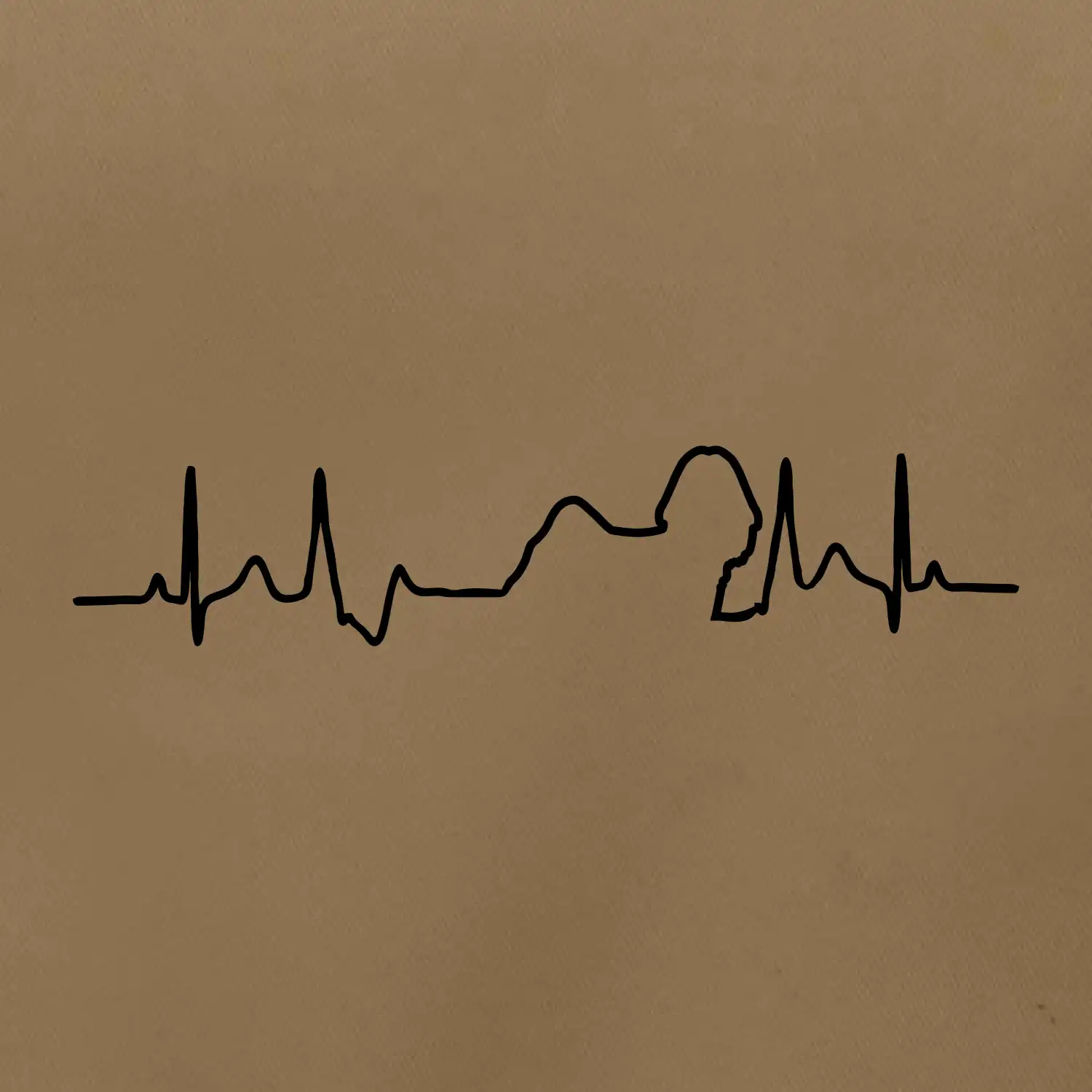 Shih-tzu ekg obrys