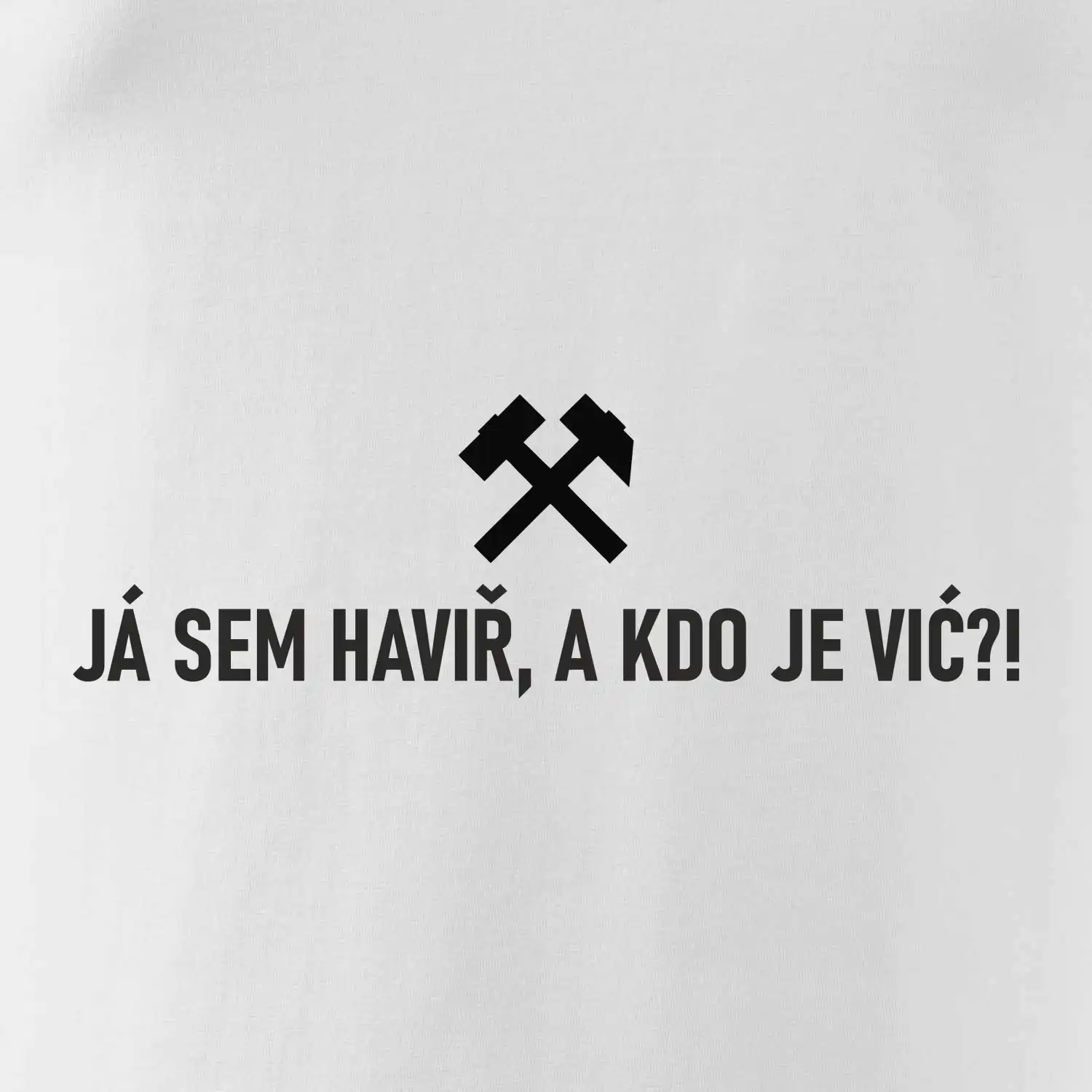 JÁ SEM HAVIŘ, A KDO JE VIĆ?!﻿