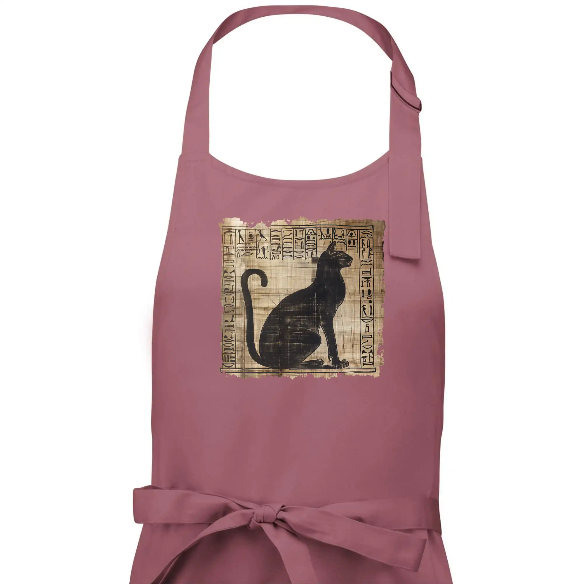 Egyptské hieroglyfy kočka