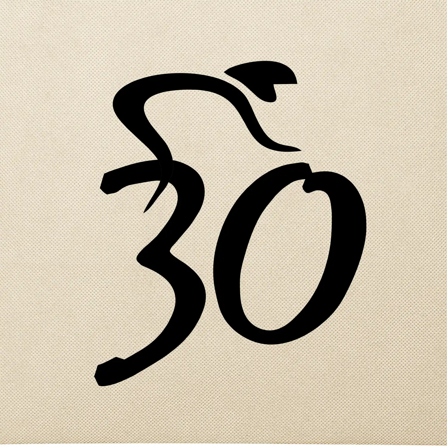 Cyklista slaví třicítku (30)