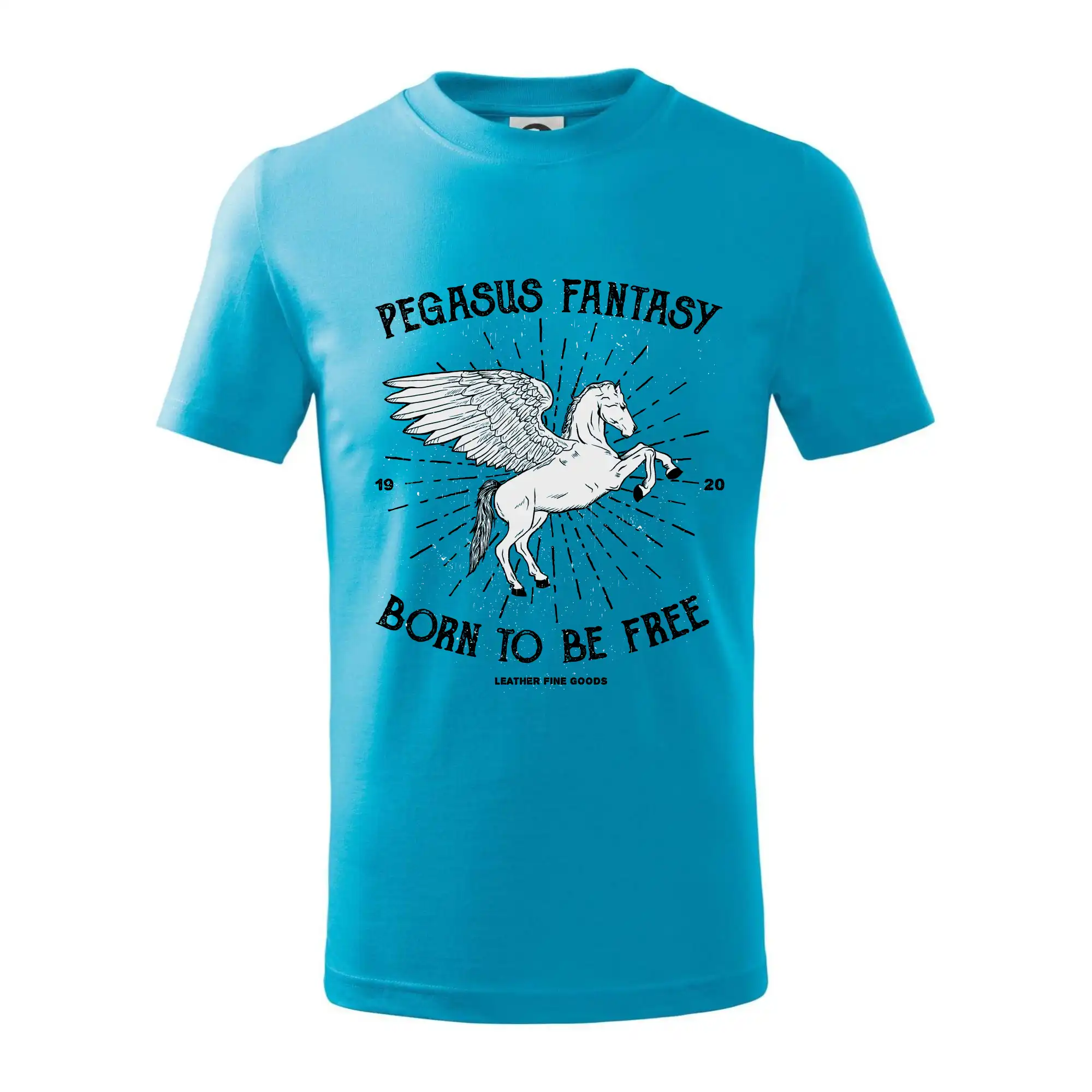 Tričká s koňmi - Pegasus fantasy - Tričko detské bavlnené