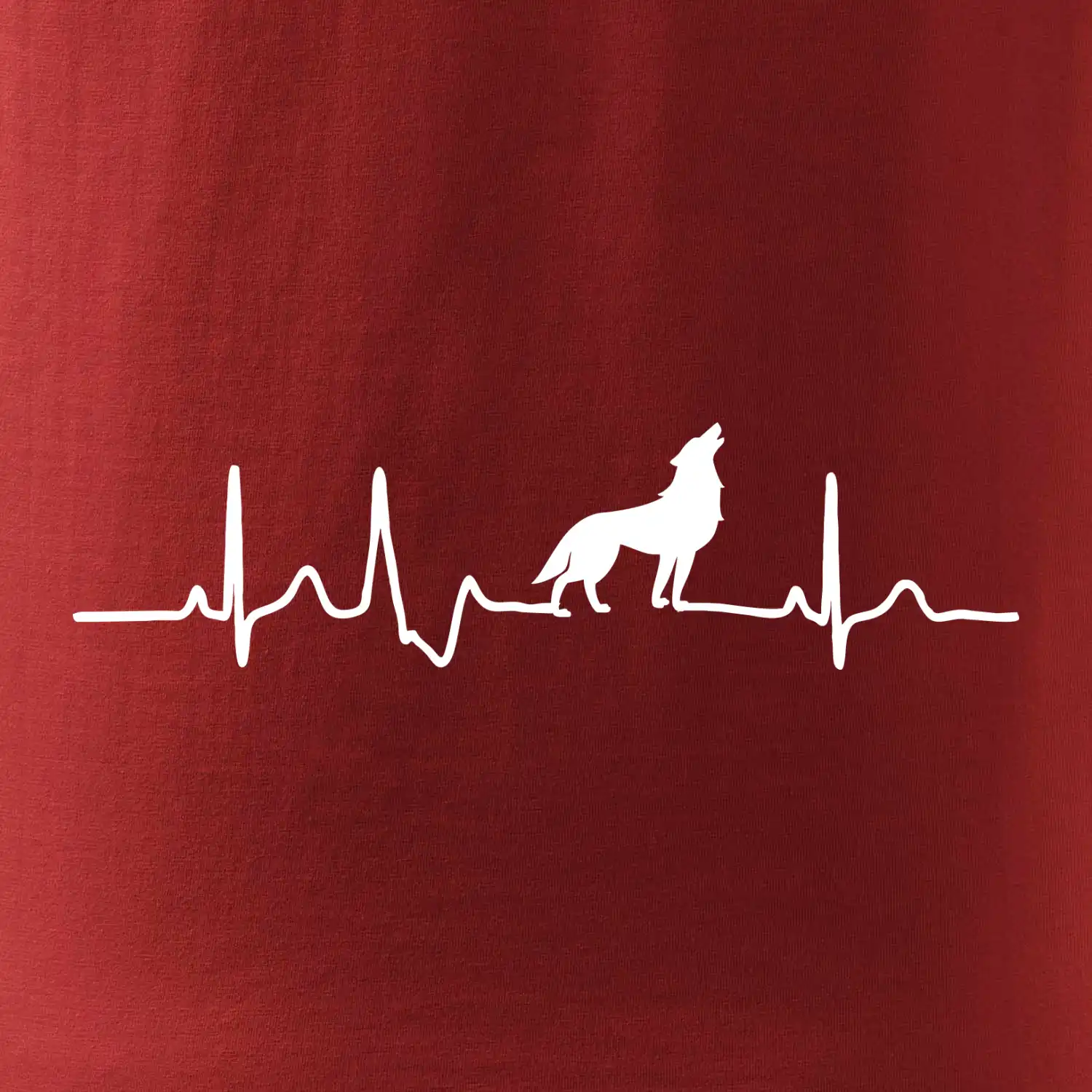 Vlk ekg