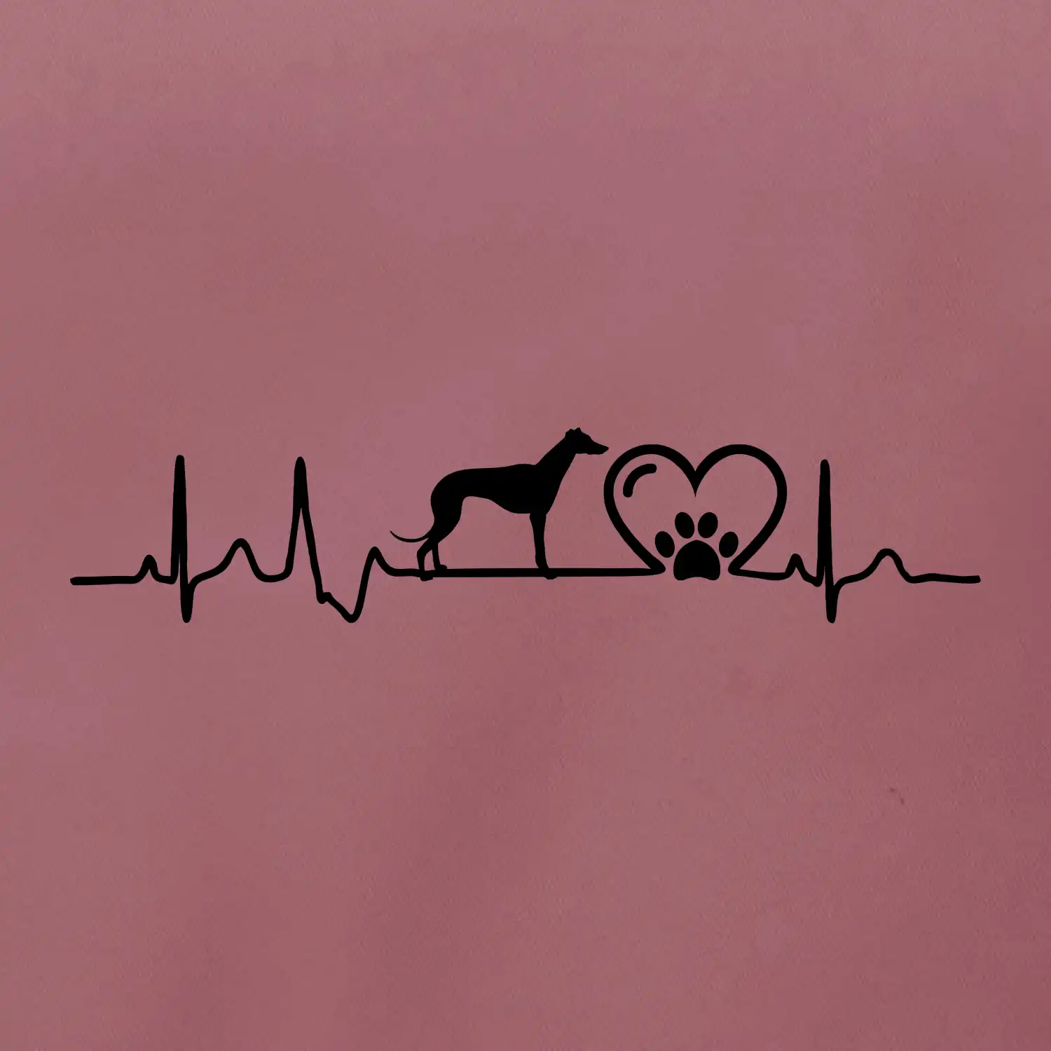 Chrt - Ekg