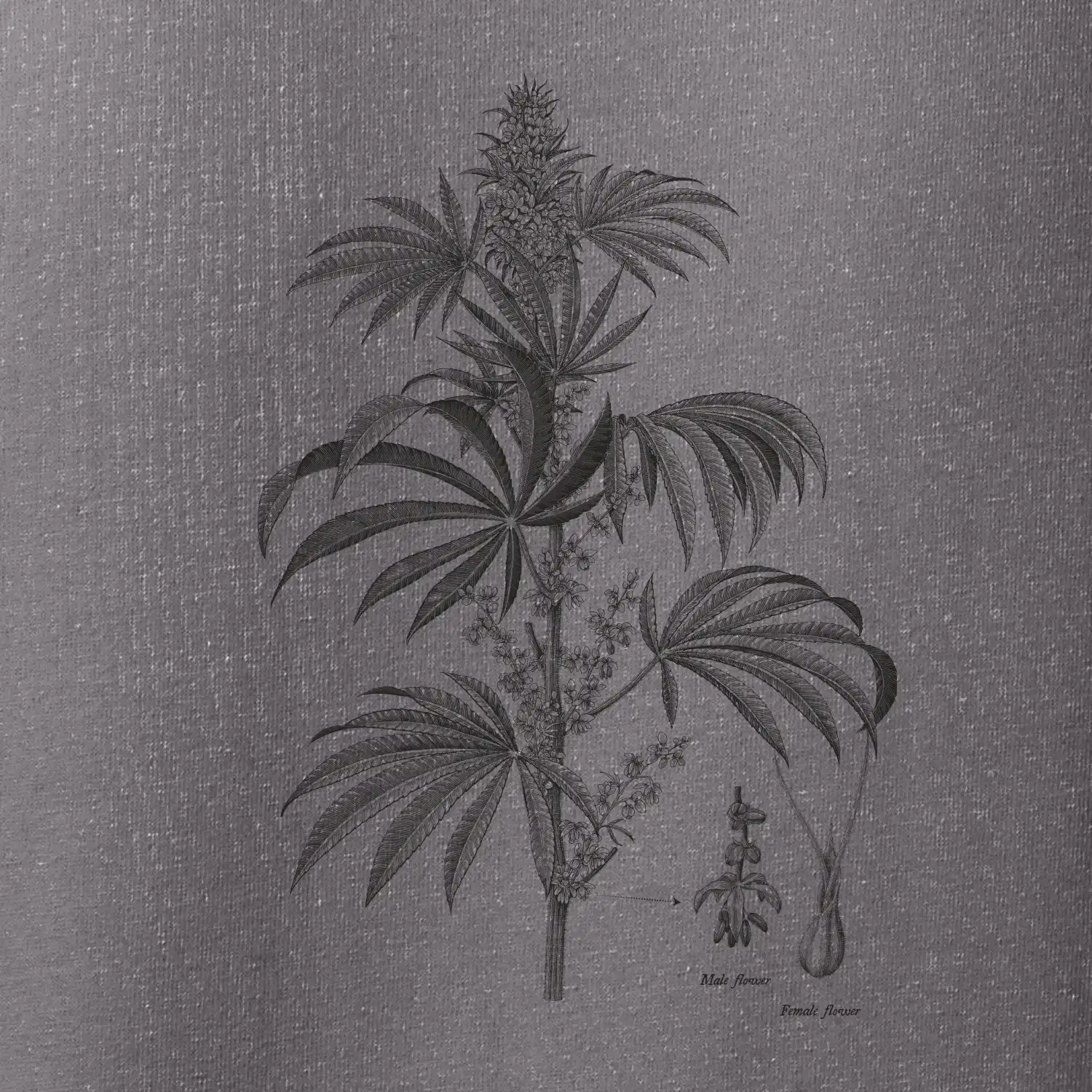 Konopí kytka černobílá