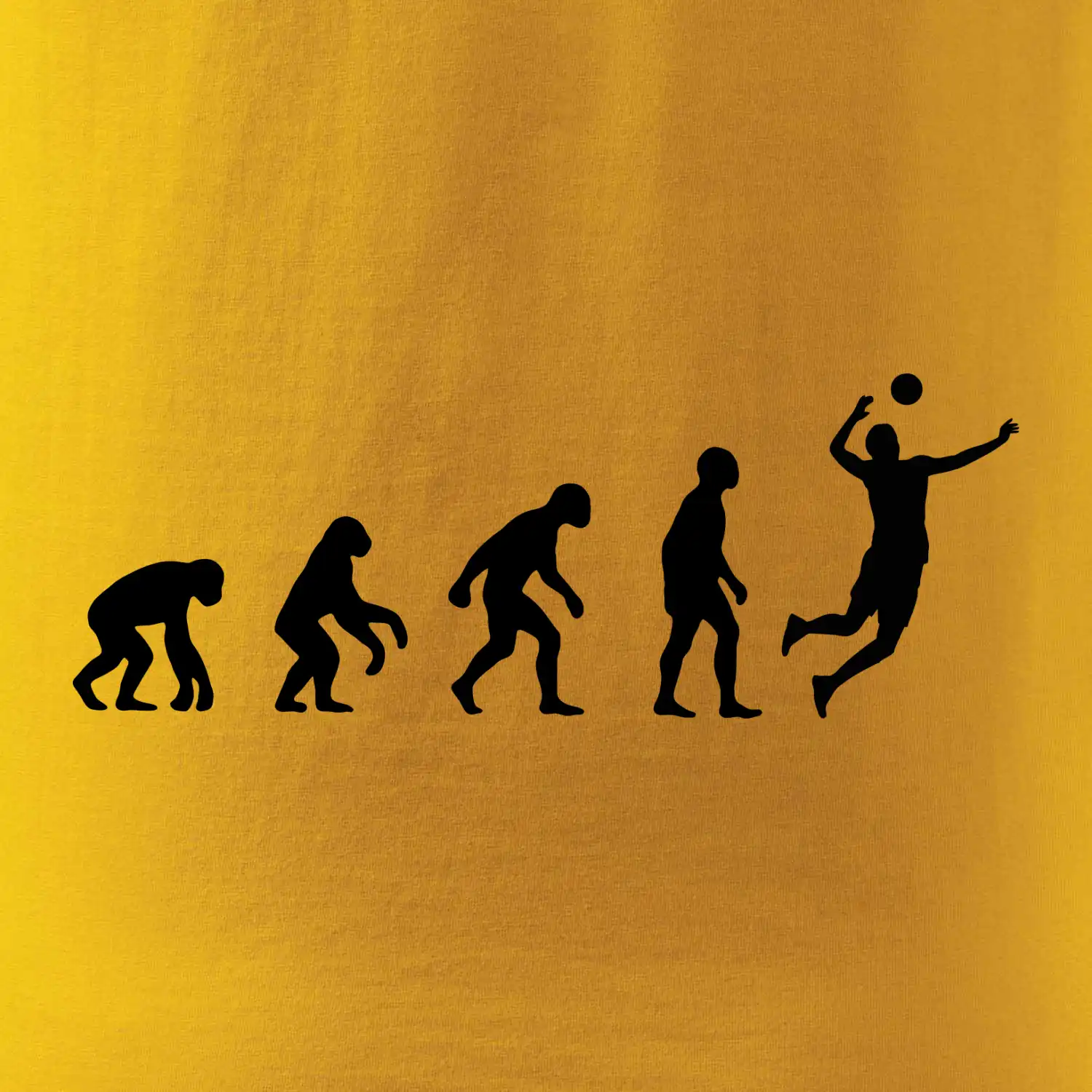 Evoluce volejbal smeč