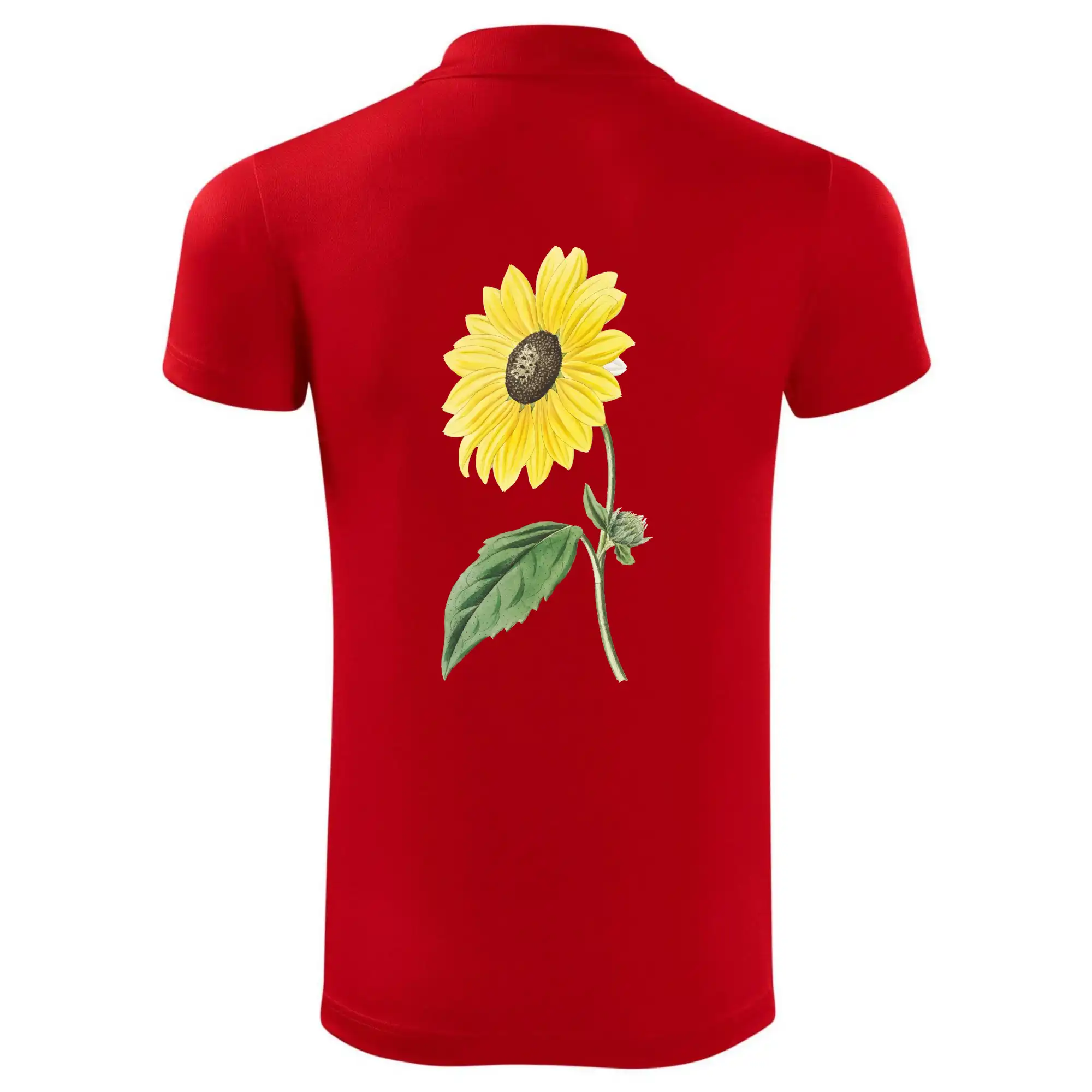 Slunečnice otočená