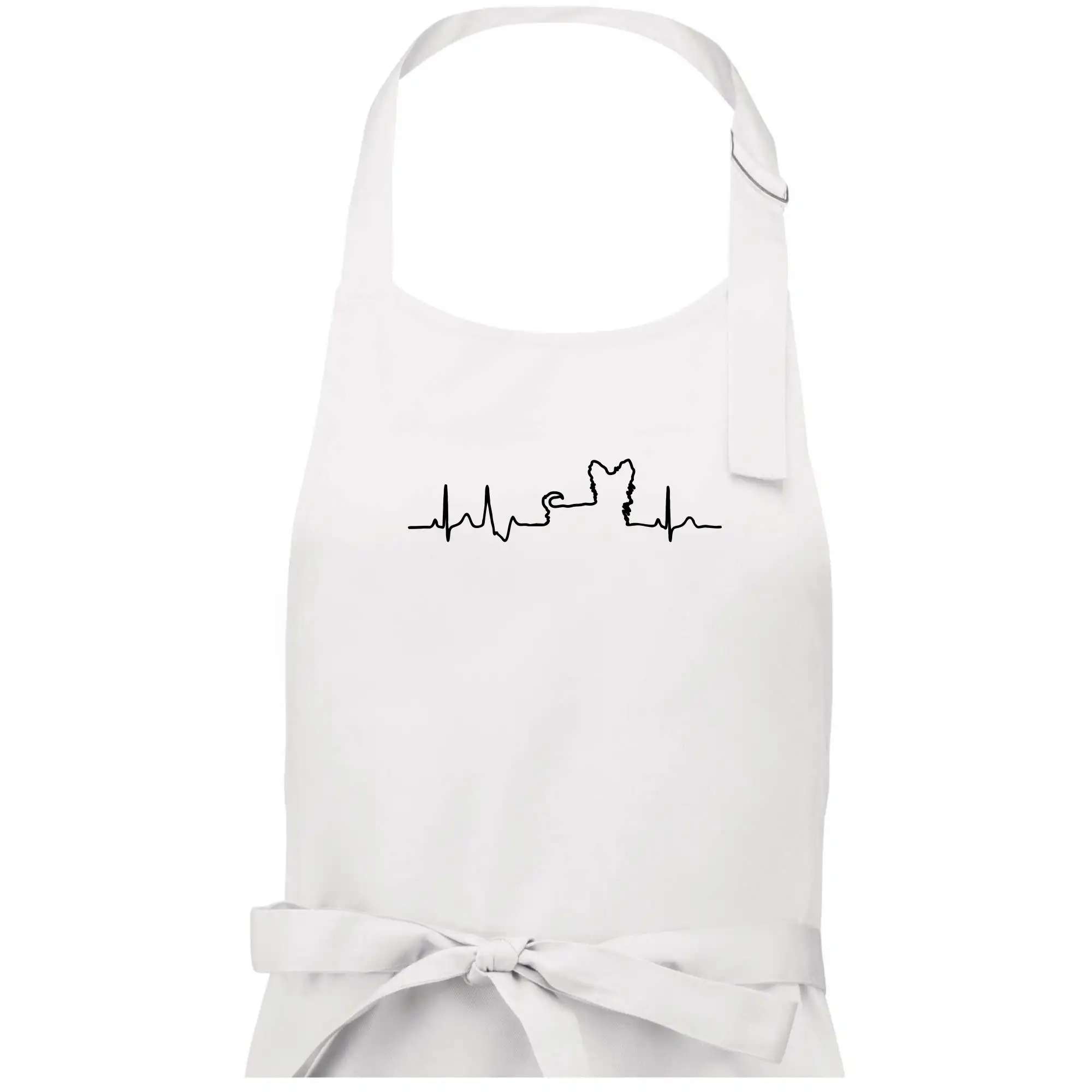 Jorkšírský teriér EKG