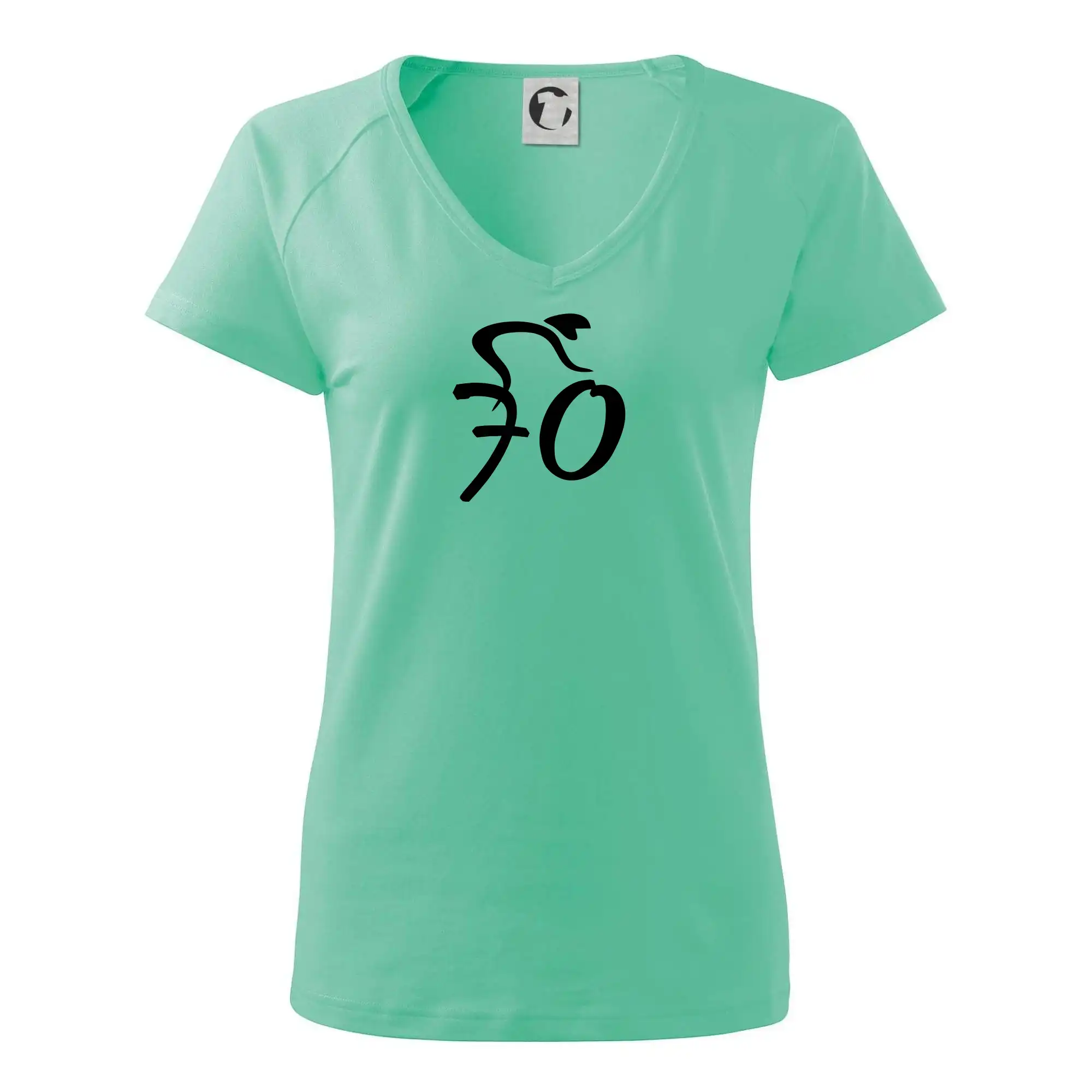 Cyklista slaví sedmdesátku (70)